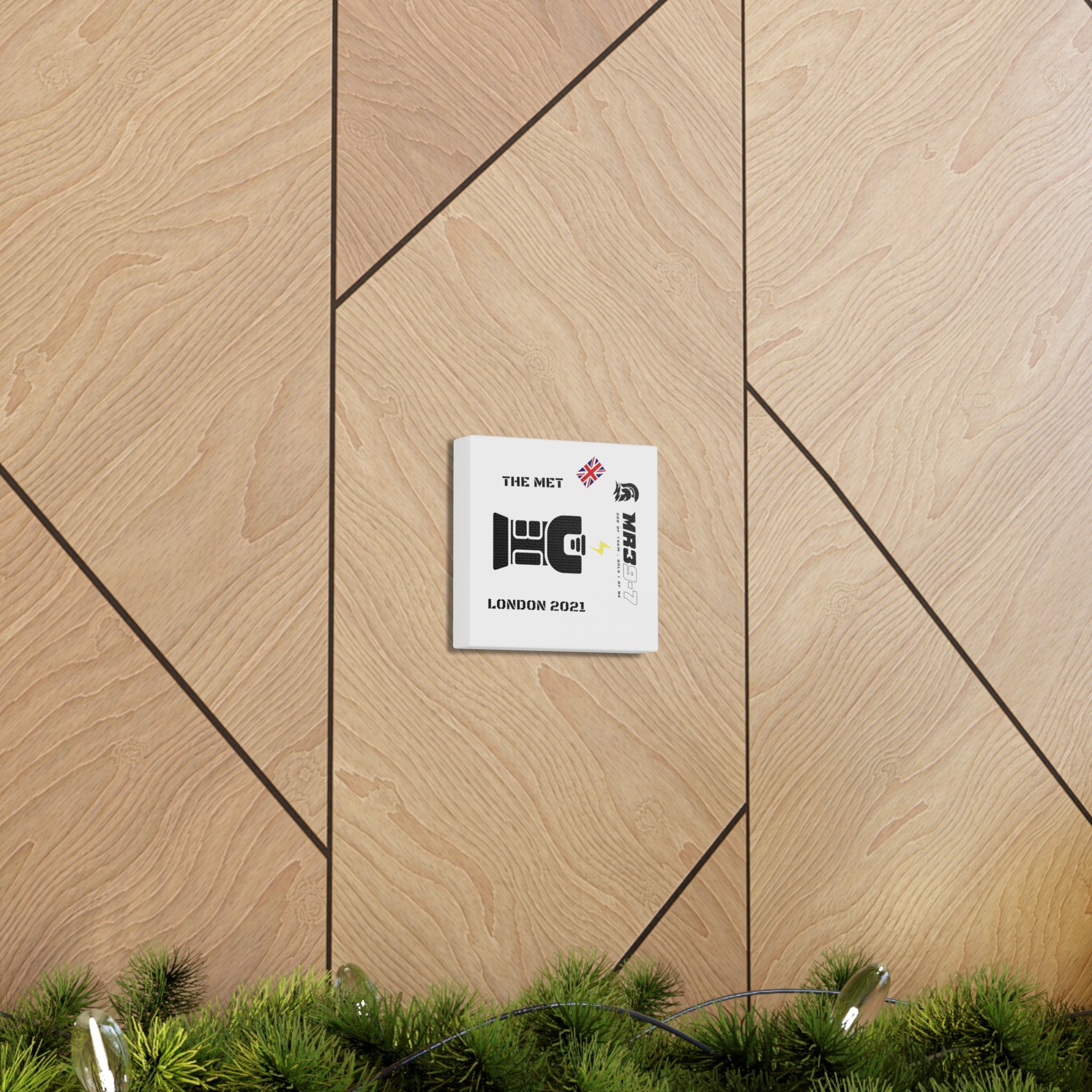 Copy of Canvas Gallery Wraps MR 39 Tasered by The MET 2021