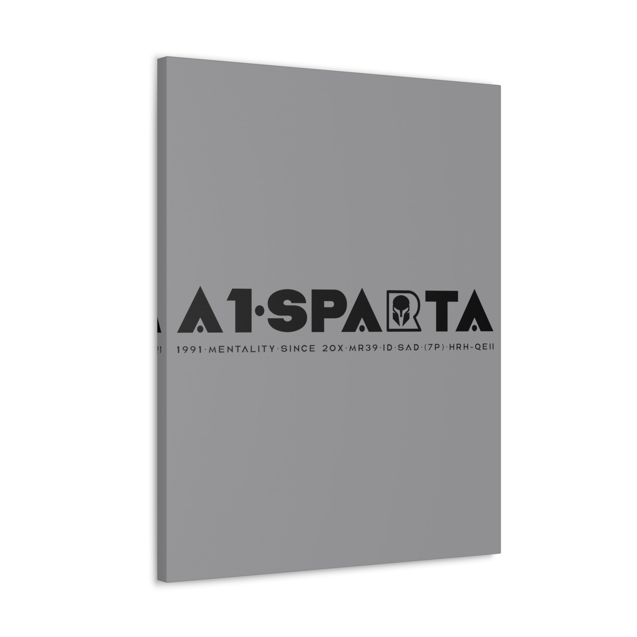 Canvas Gallery Wraps (A1•SPARTA RANGE)