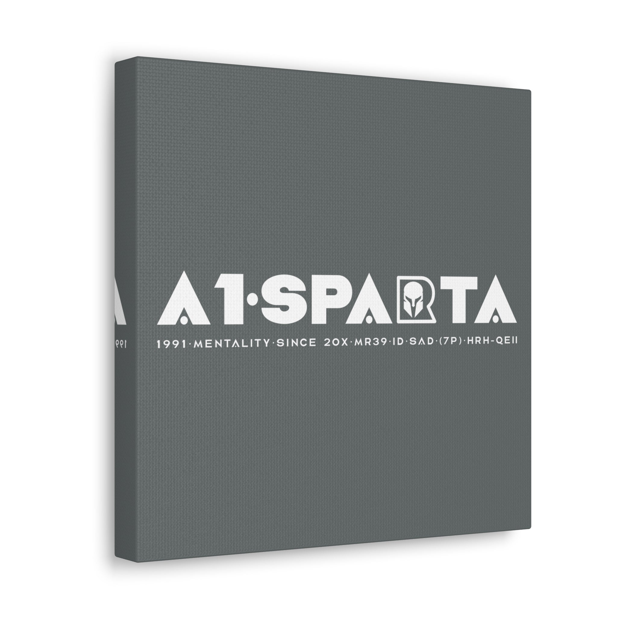 Canvas Gallery Wraps (A1•SPARTA RANGE)