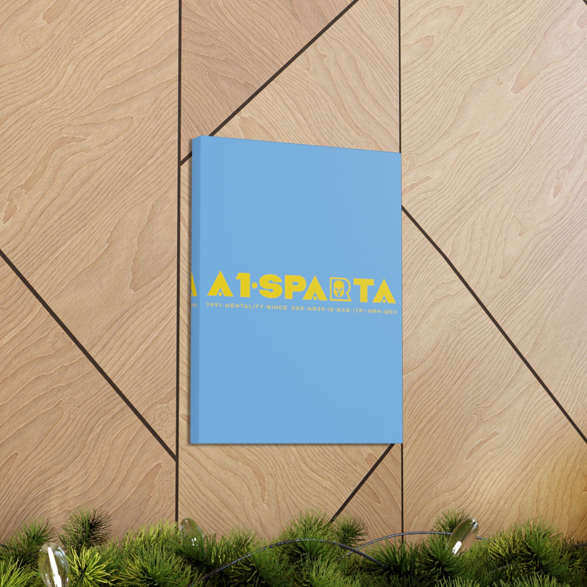 Canvas Gallery Wraps (A1•SPARTA RANGE)