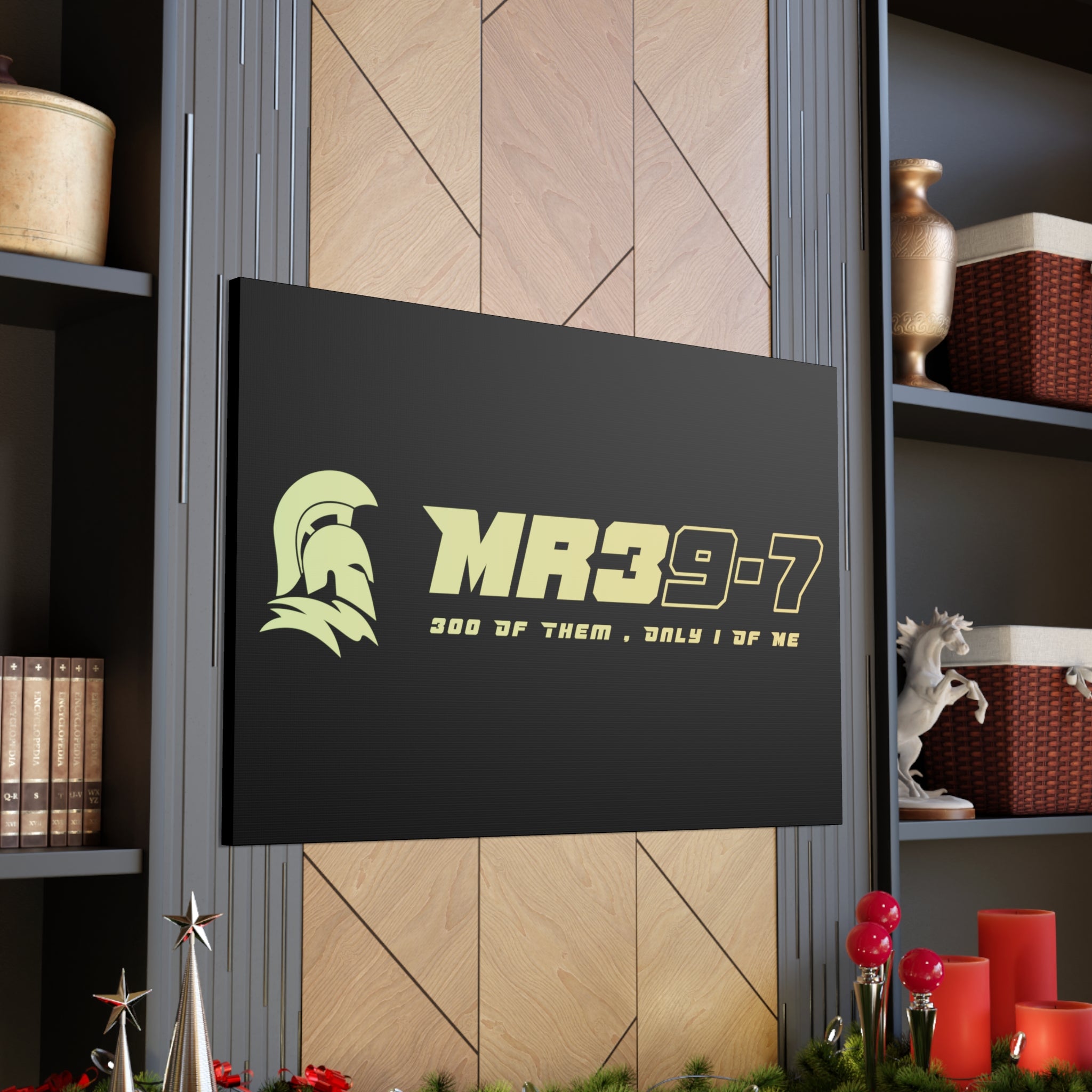 Canvas Gallery Wraps (A1•SPARTA RANGE)