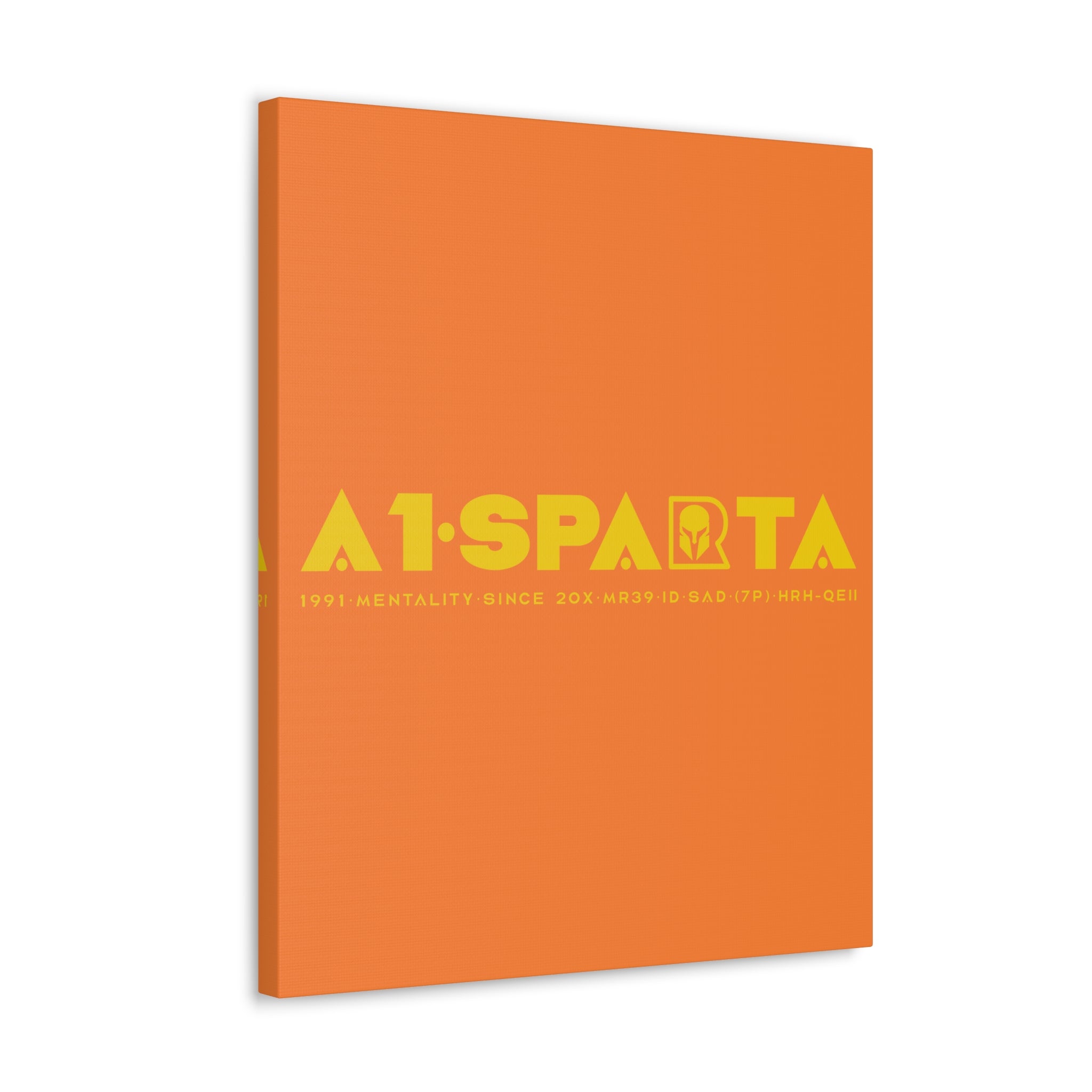 Canvas Gallery Wraps (A1•SPARTA RANGE)
