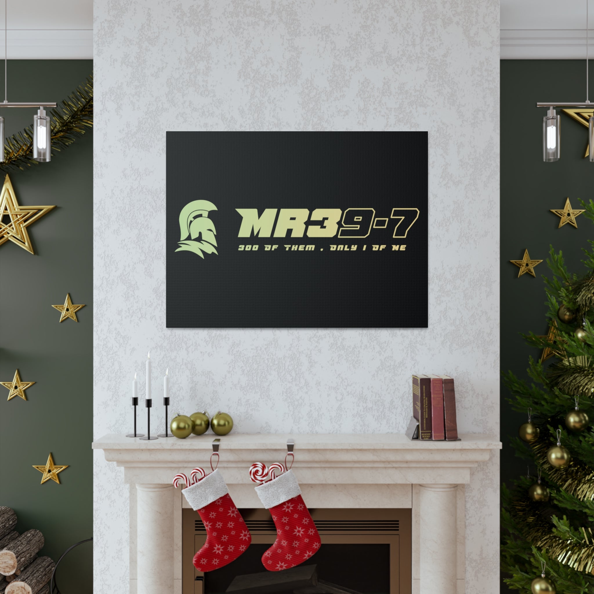 Canvas Gallery Wraps (A1•SPARTA RANGE)