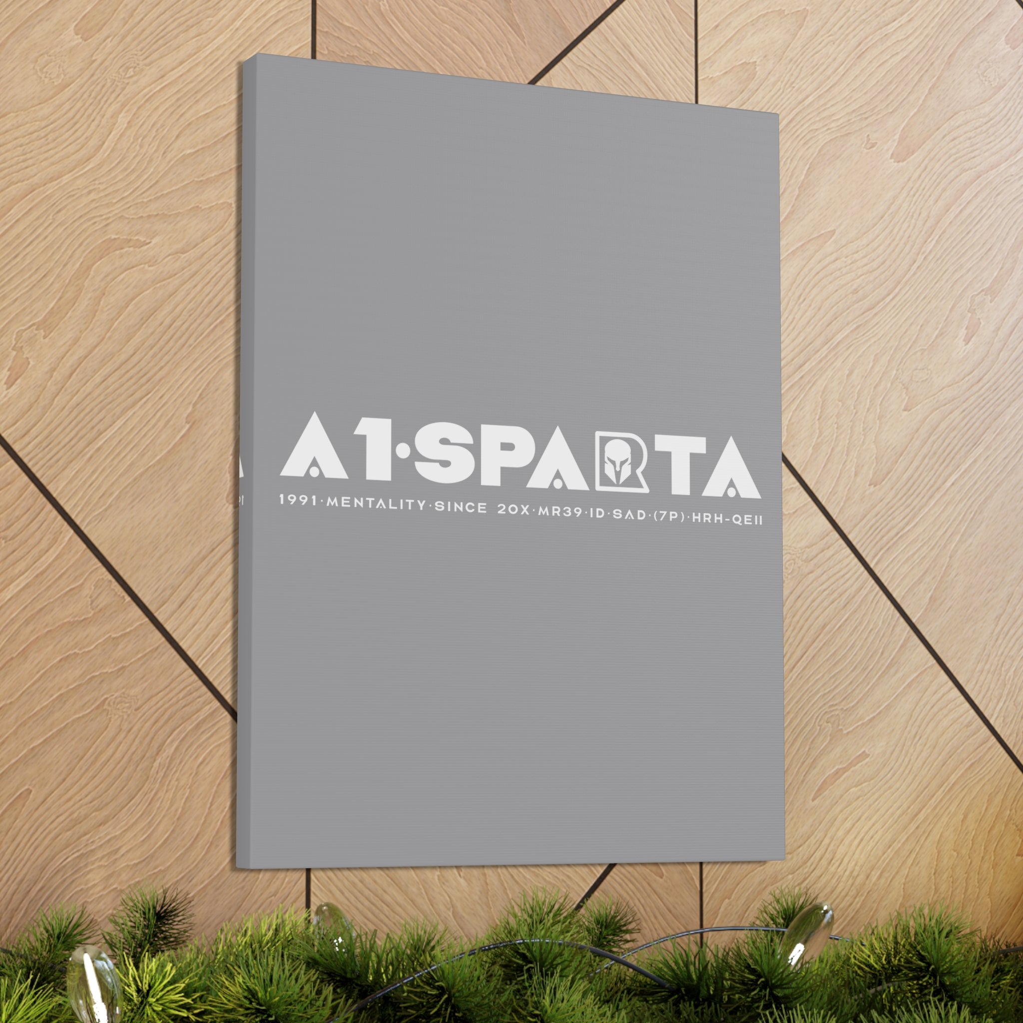 Canvas Gallery Wraps (A1•SPARTA RANGE)
