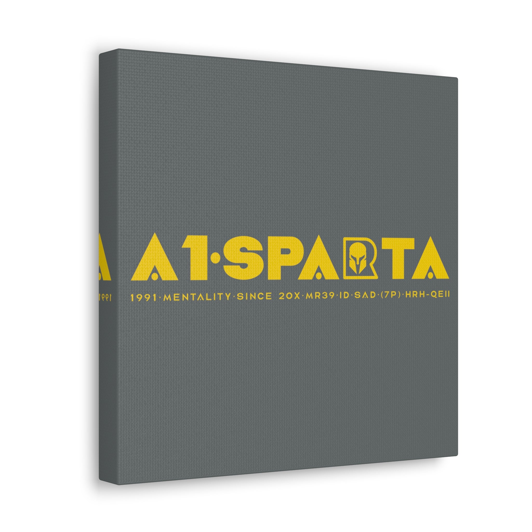 Canvas Gallery Wraps (A1•SPARTA RANGE)
