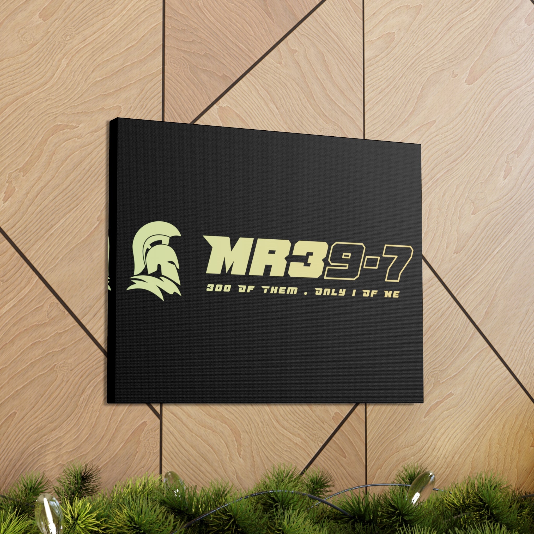 Canvas Gallery Wraps (A1•SPARTA RANGE)