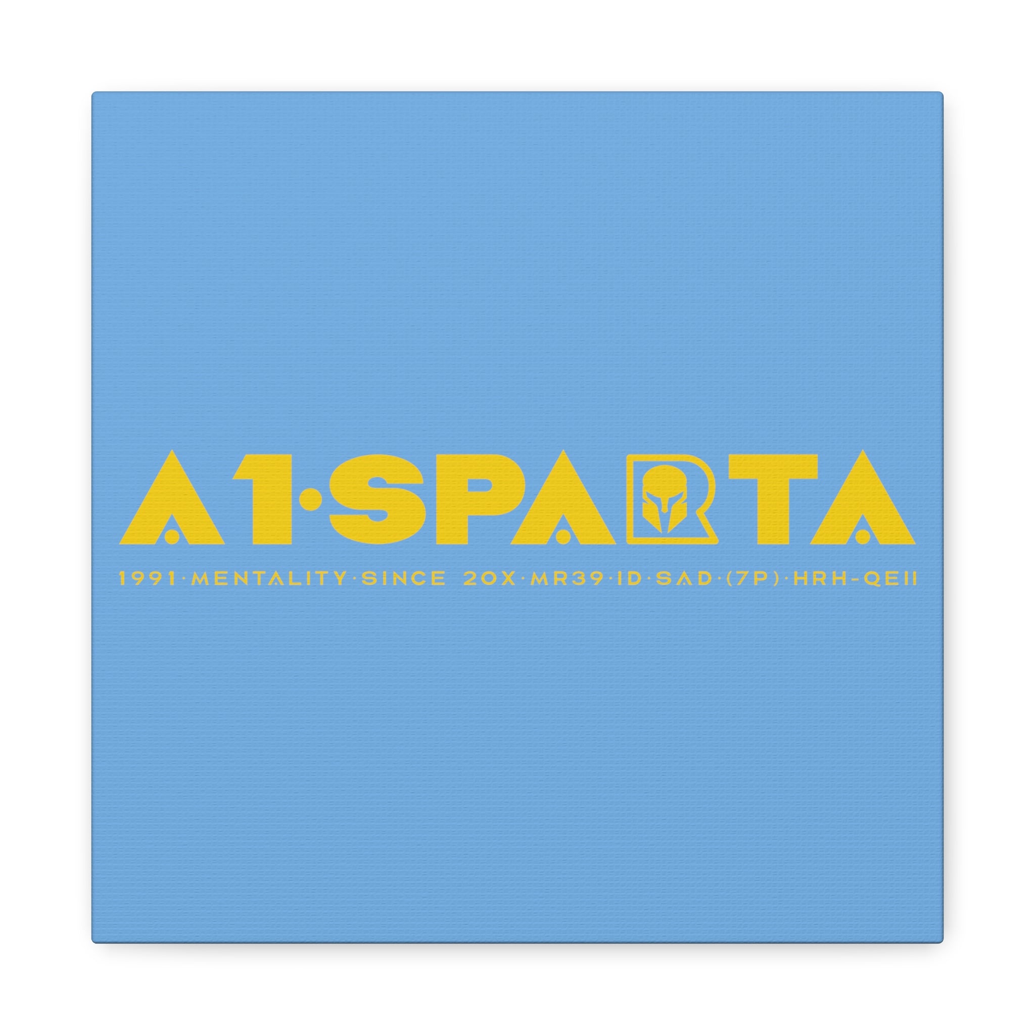 Canvas Gallery Wraps (A1•SPARTA RANGE)