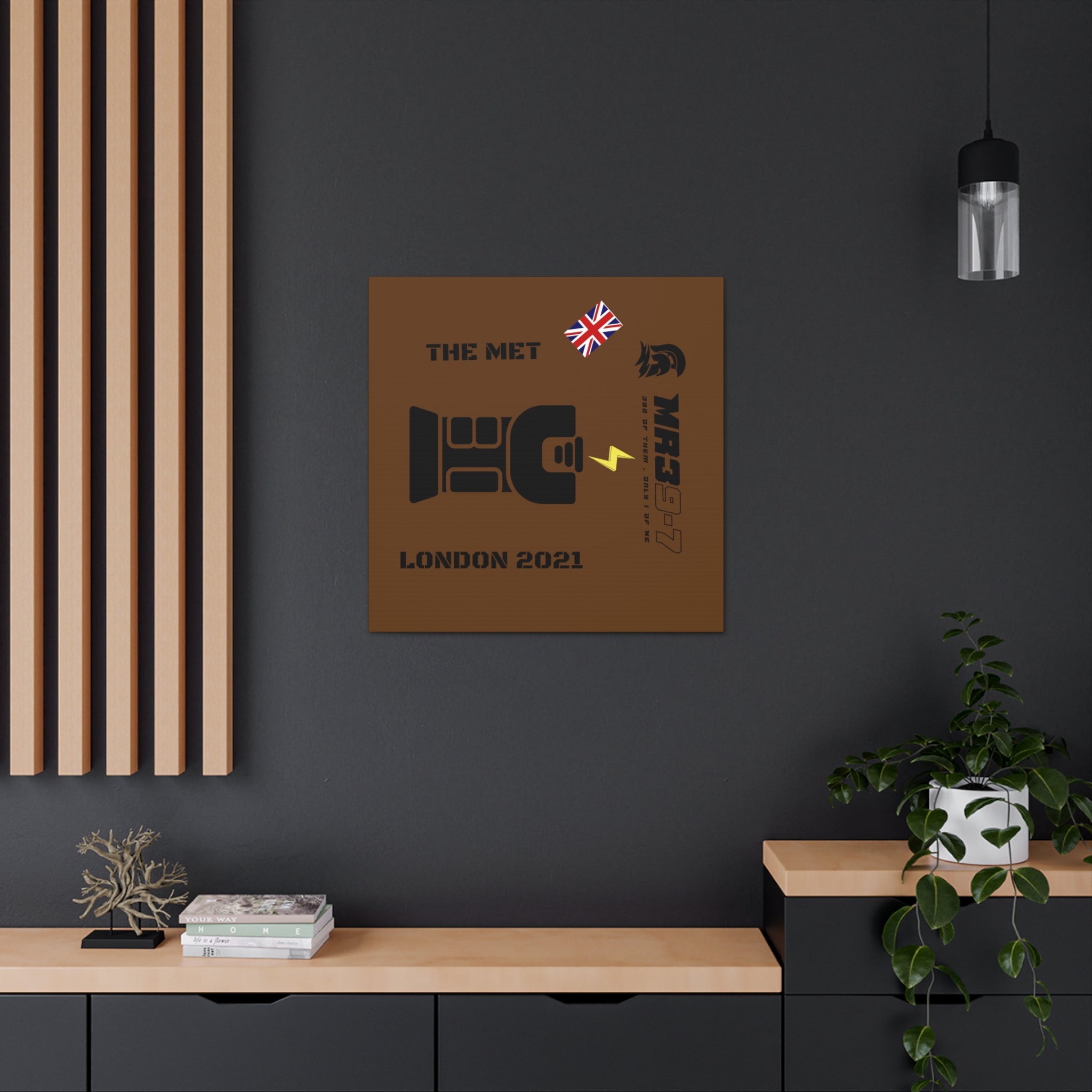 Canvas Gallery Wraps MR 39 Tasered by The MET 2021