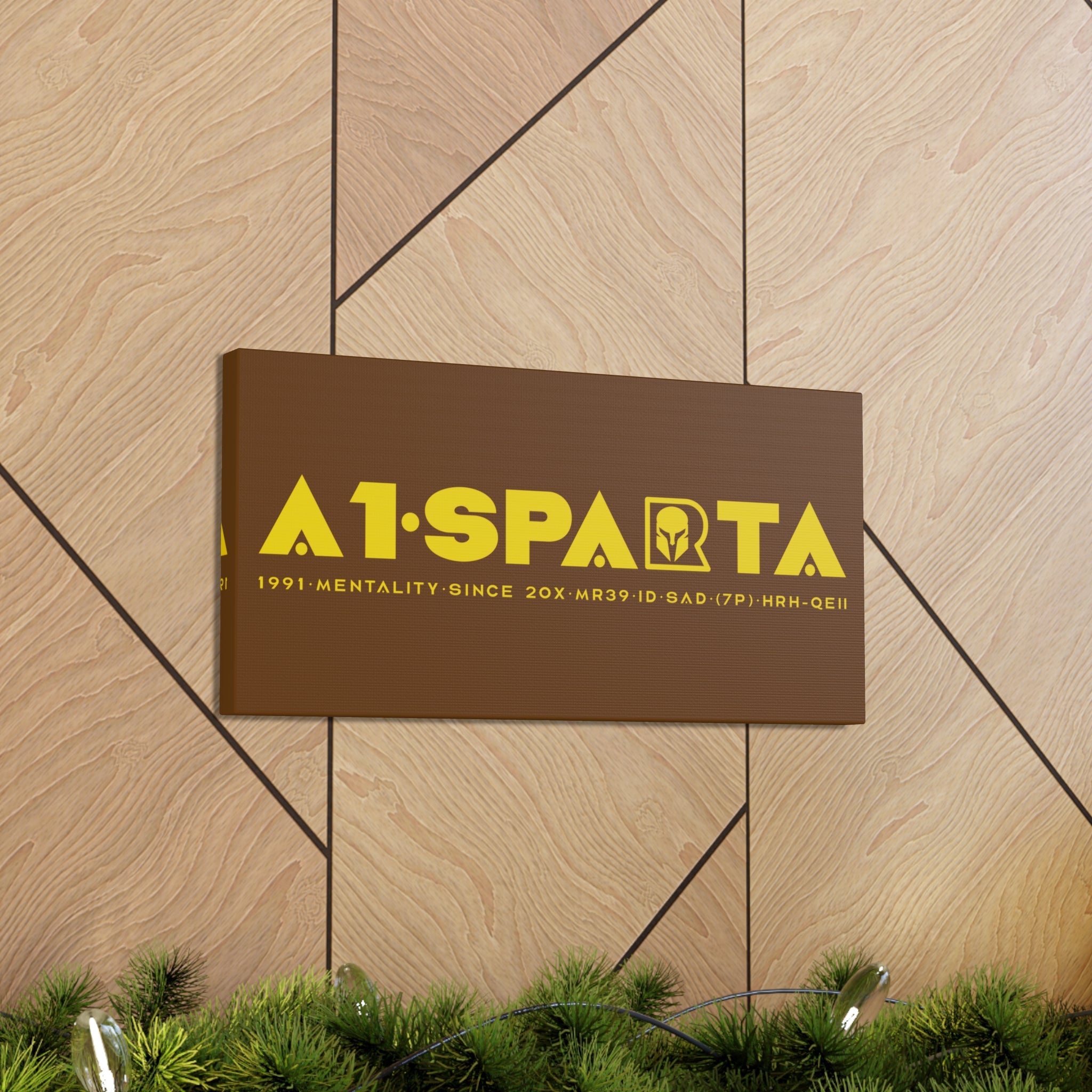 Canvas Gallery Wraps (A1•SPARTA RANGE)