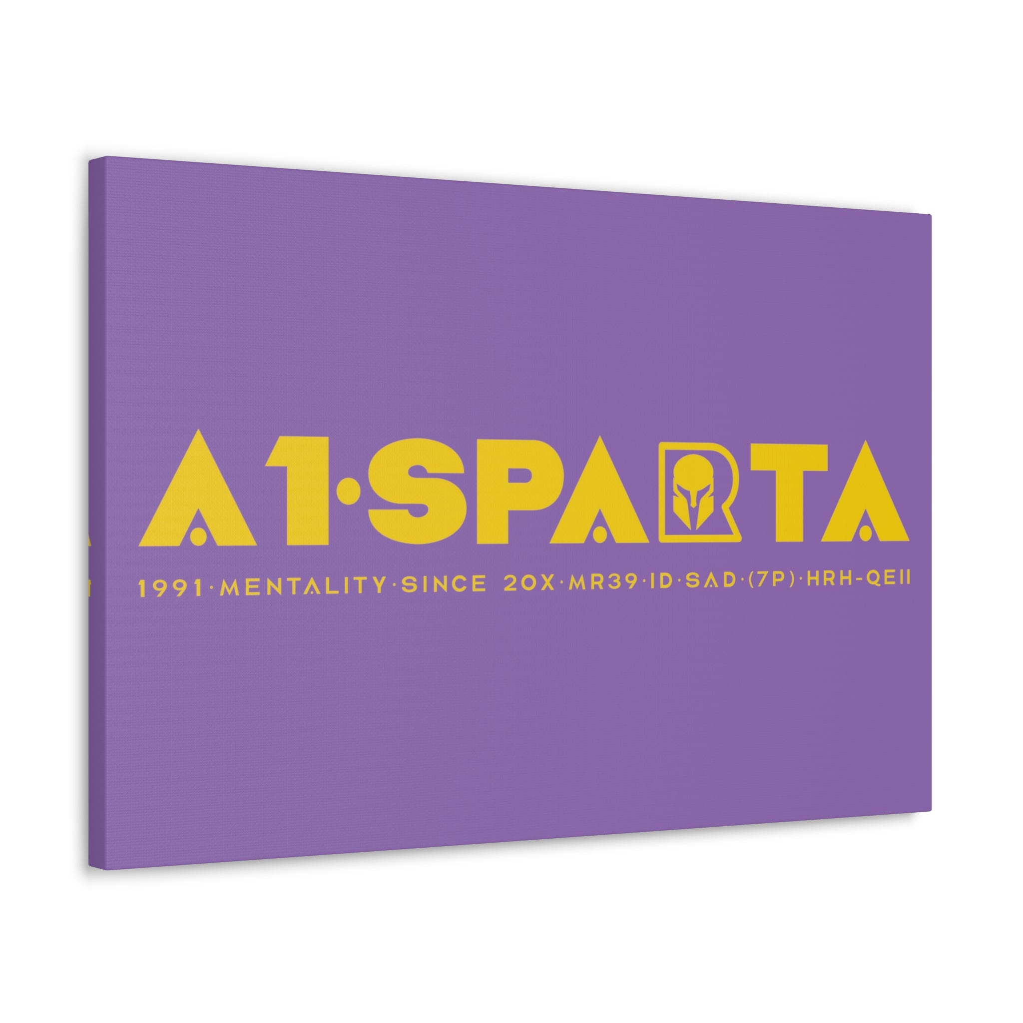 Canvas Gallery Wraps (A1•SPARTA RANGE)