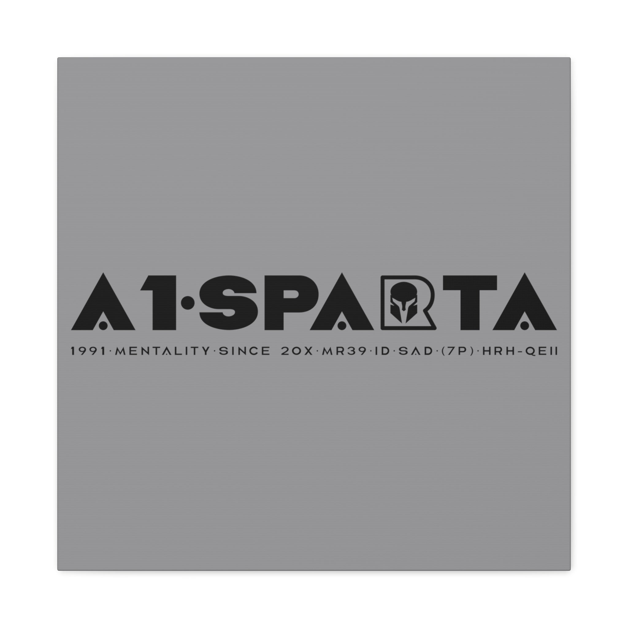 Canvas Gallery Wraps (A1•SPARTA RANGE)