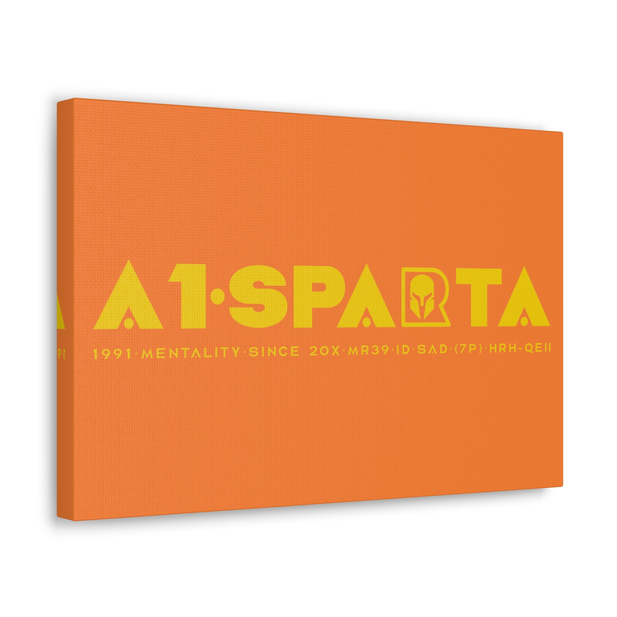 Canvas Gallery Wraps (A1•SPARTA RANGE)