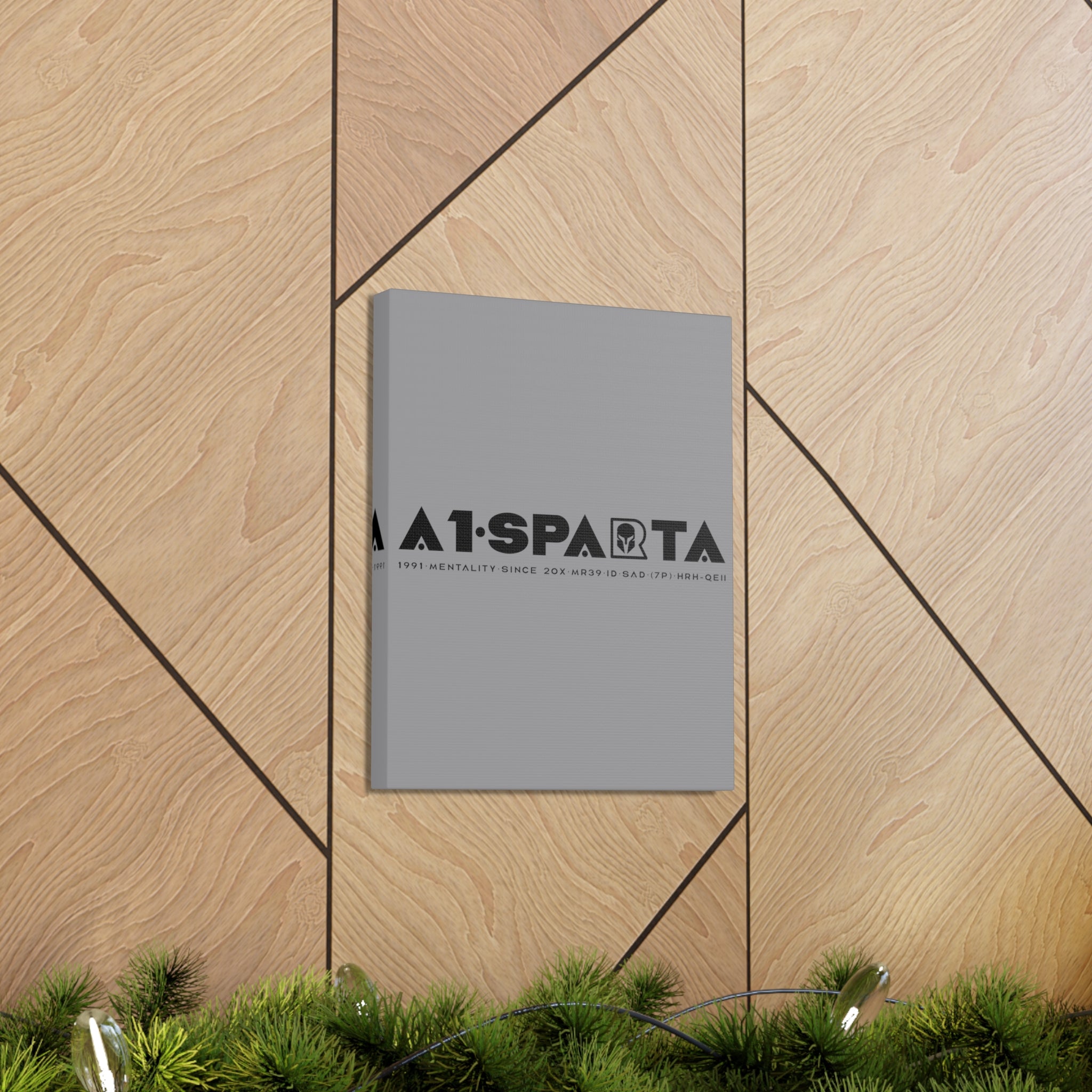 Canvas Gallery Wraps (A1•SPARTA RANGE)