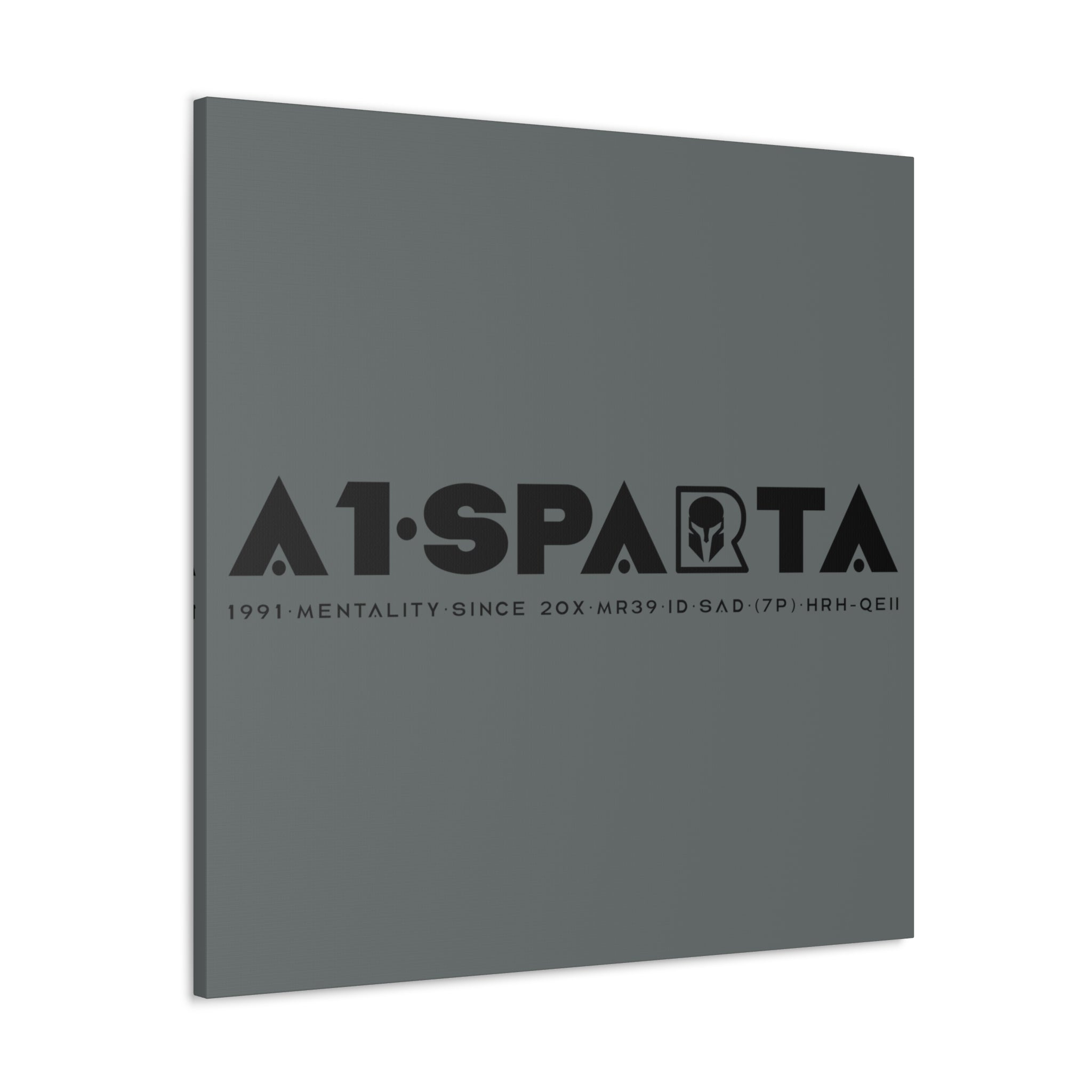 Canvas Gallery Wraps (A1•SPARTA RANGE)