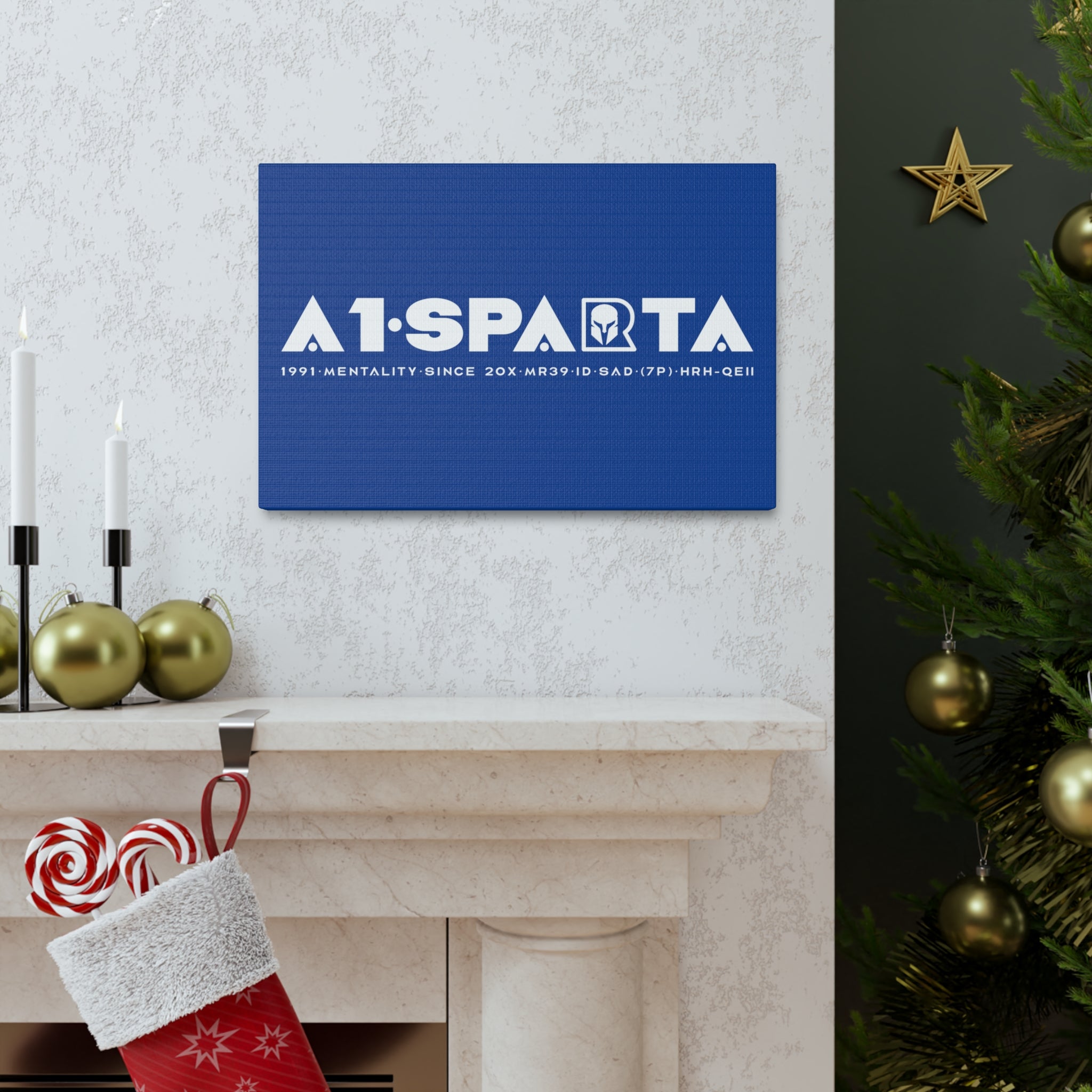 Canvas Gallery Wraps (A1•SPARTA RANGE)