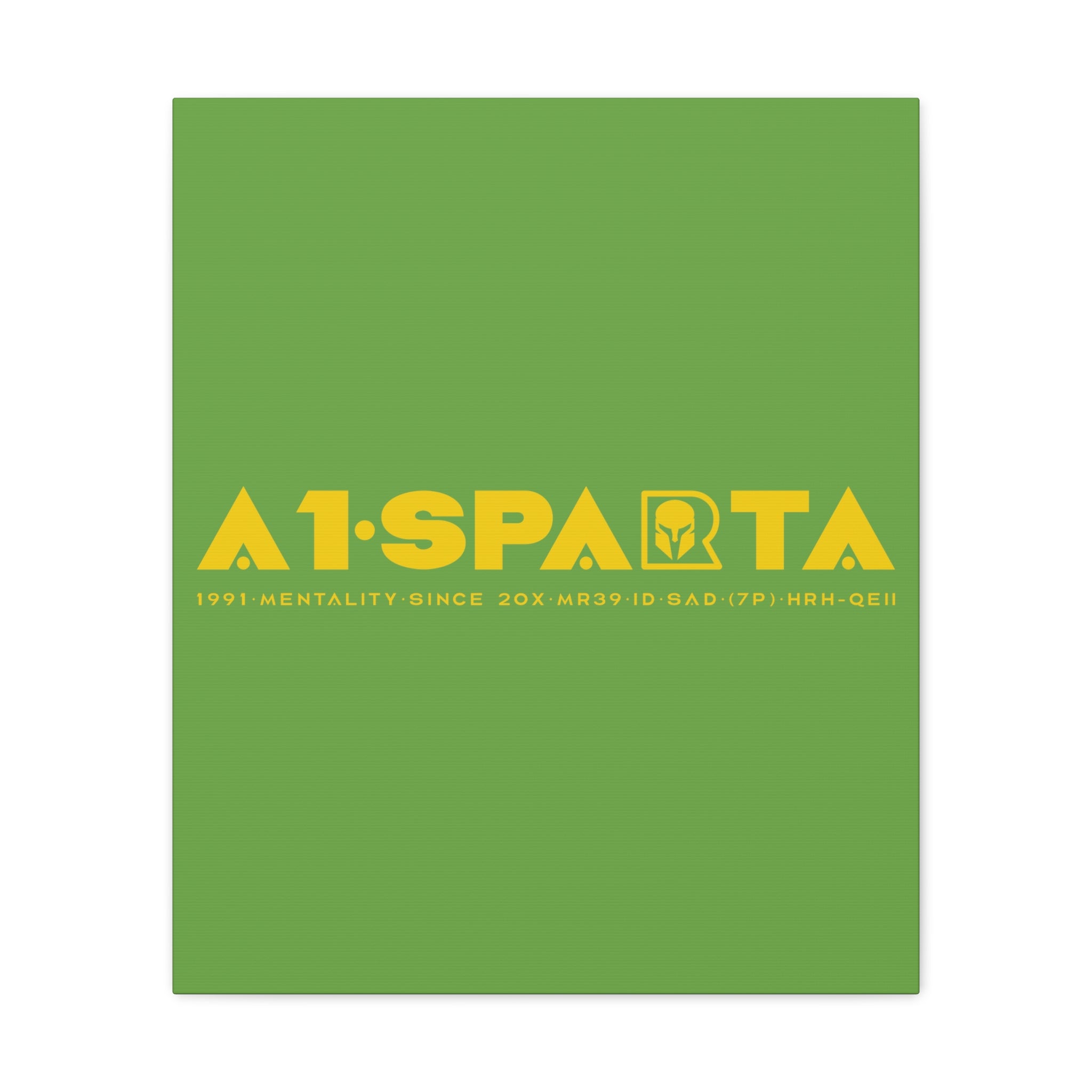 Canvas Gallery Wraps (A1•SPARTA RANGE)