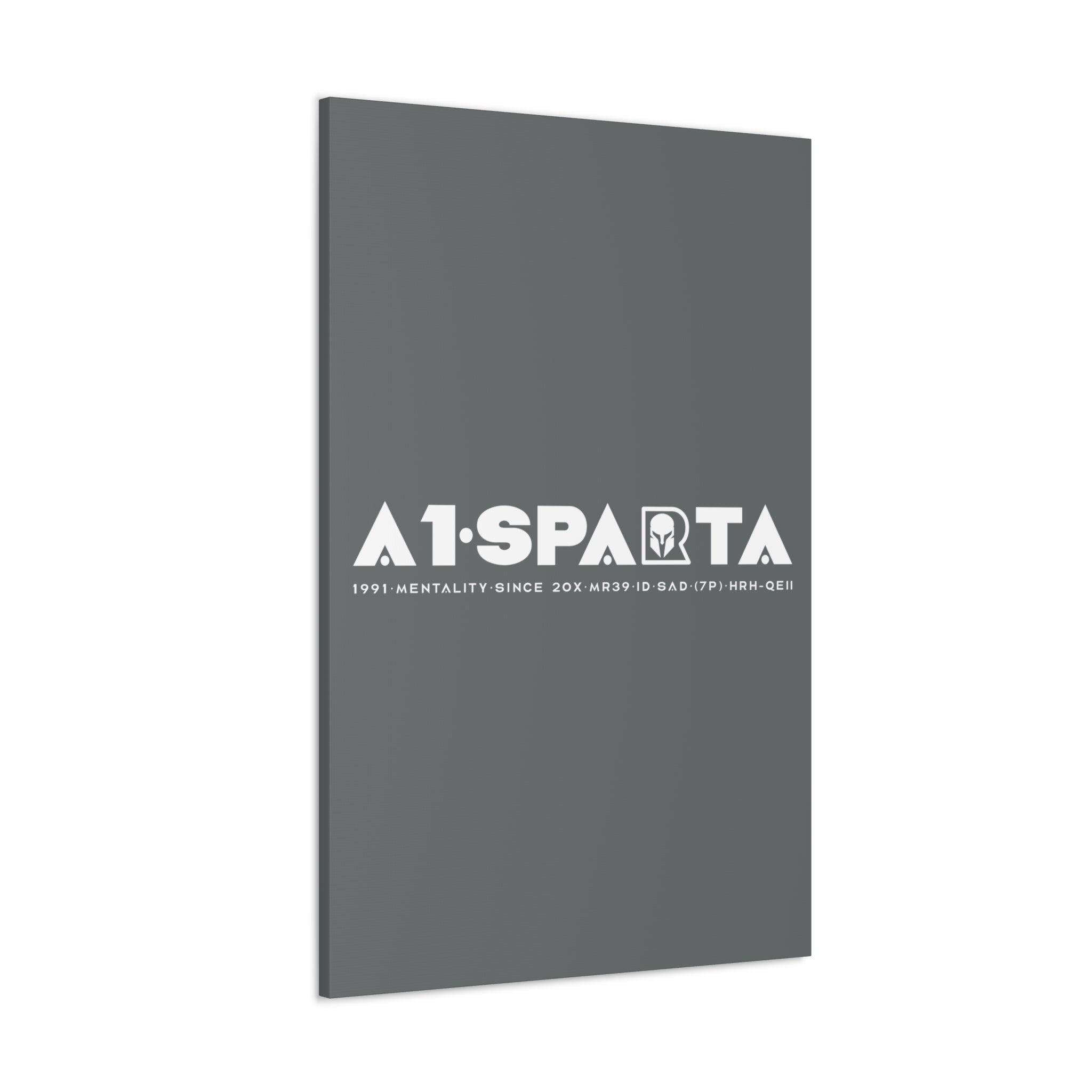 Canvas Gallery Wraps (A1•SPARTA RANGE)