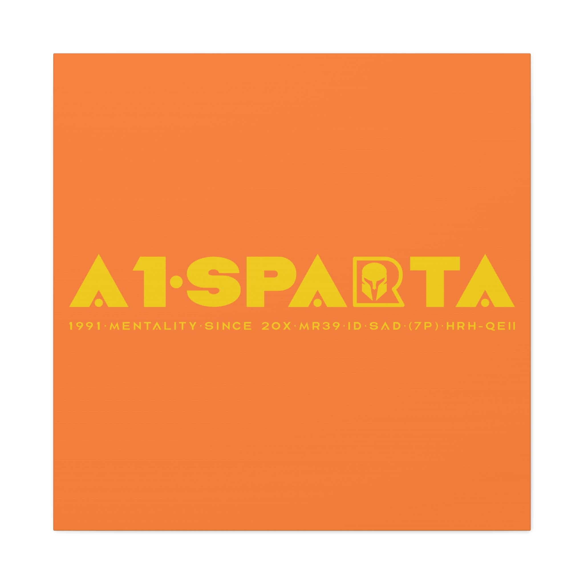 Canvas Gallery Wraps (A1•SPARTA RANGE)