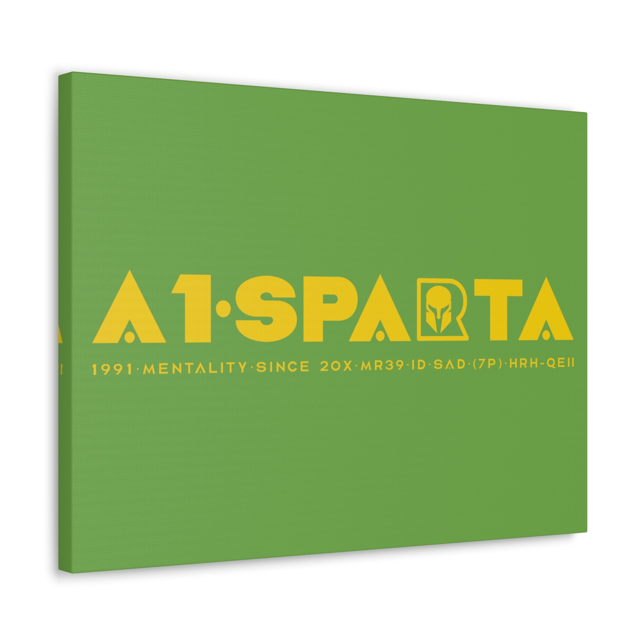 Canvas Gallery Wraps (A1•SPARTA RANGE)