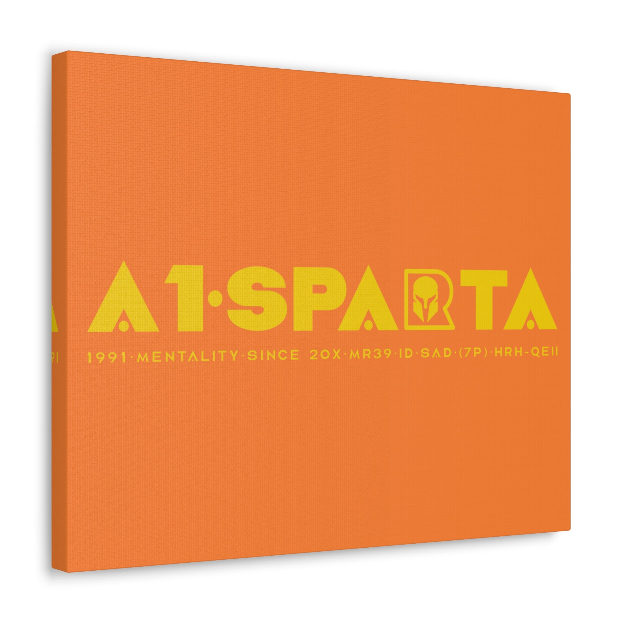 Canvas Gallery Wraps (A1•SPARTA RANGE)