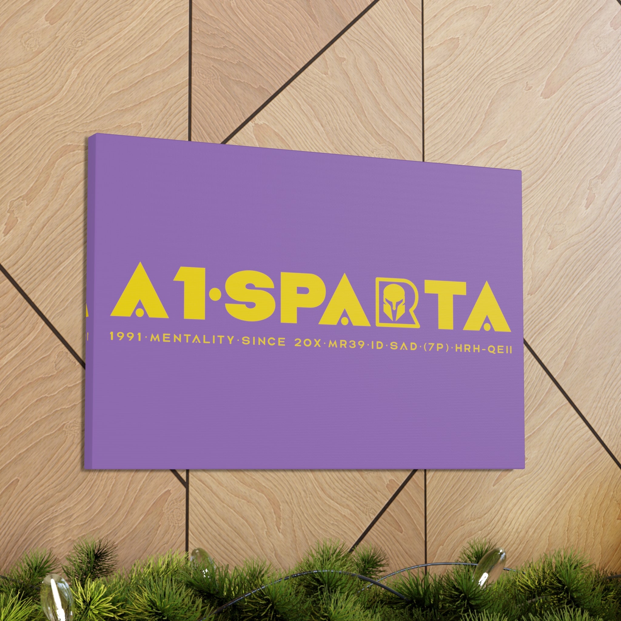 Canvas Gallery Wraps (A1•SPARTA RANGE)