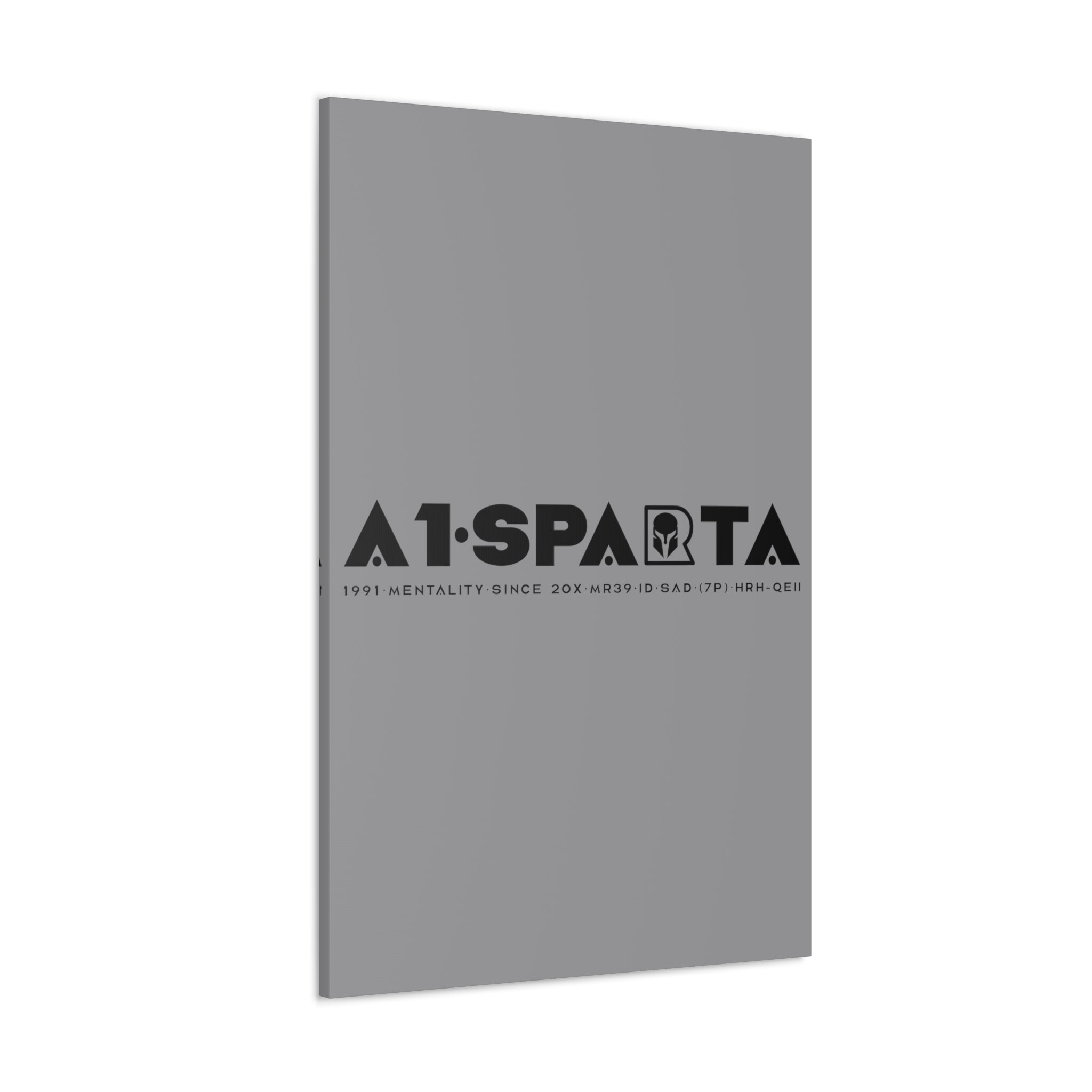 Canvas Gallery Wraps (A1•SPARTA RANGE)