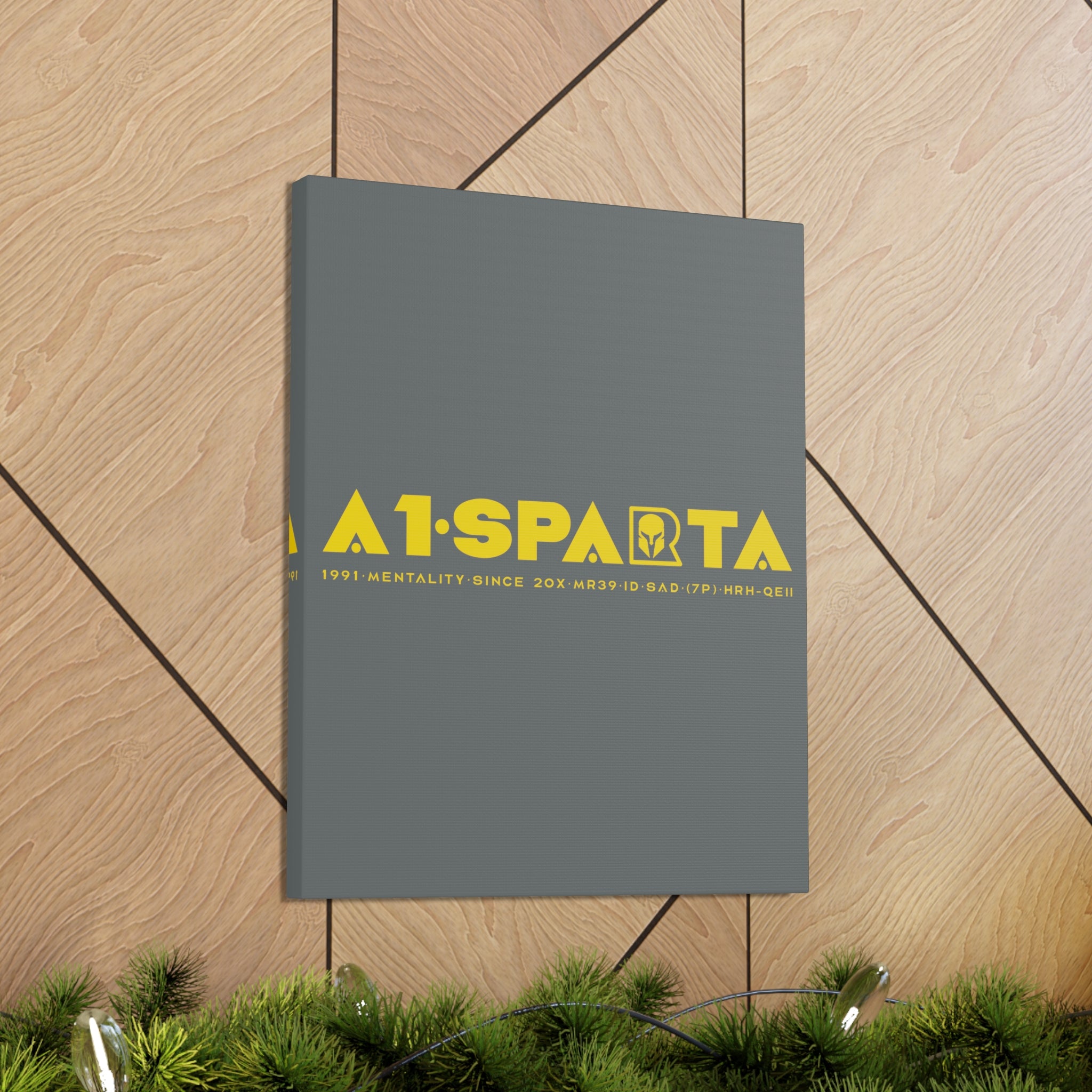 Canvas Gallery Wraps (A1•SPARTA RANGE)