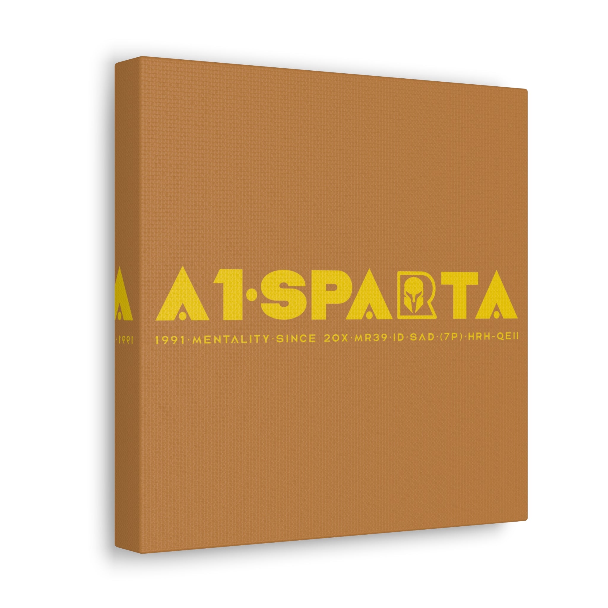 Canvas Gallery Wraps (A1•SPARTA RANGE)