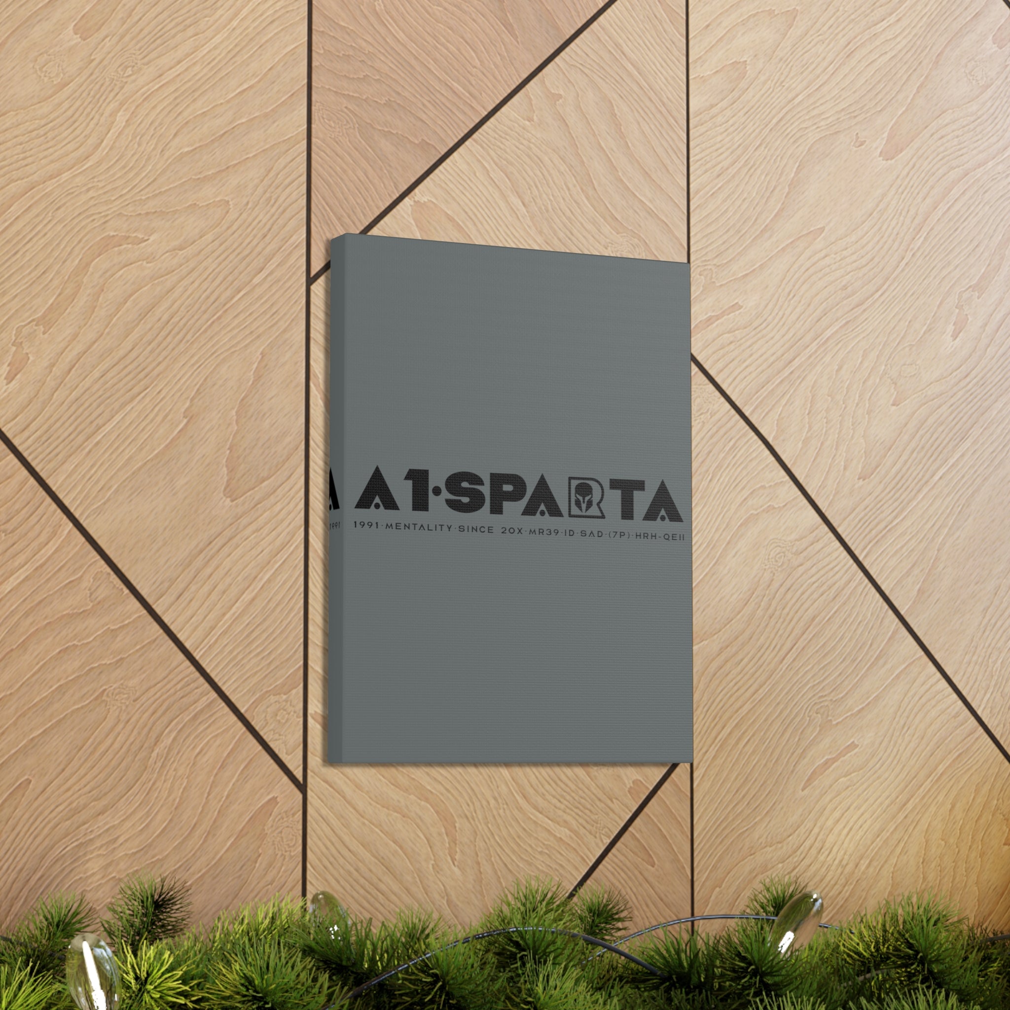 Canvas Gallery Wraps (A1•SPARTA RANGE)