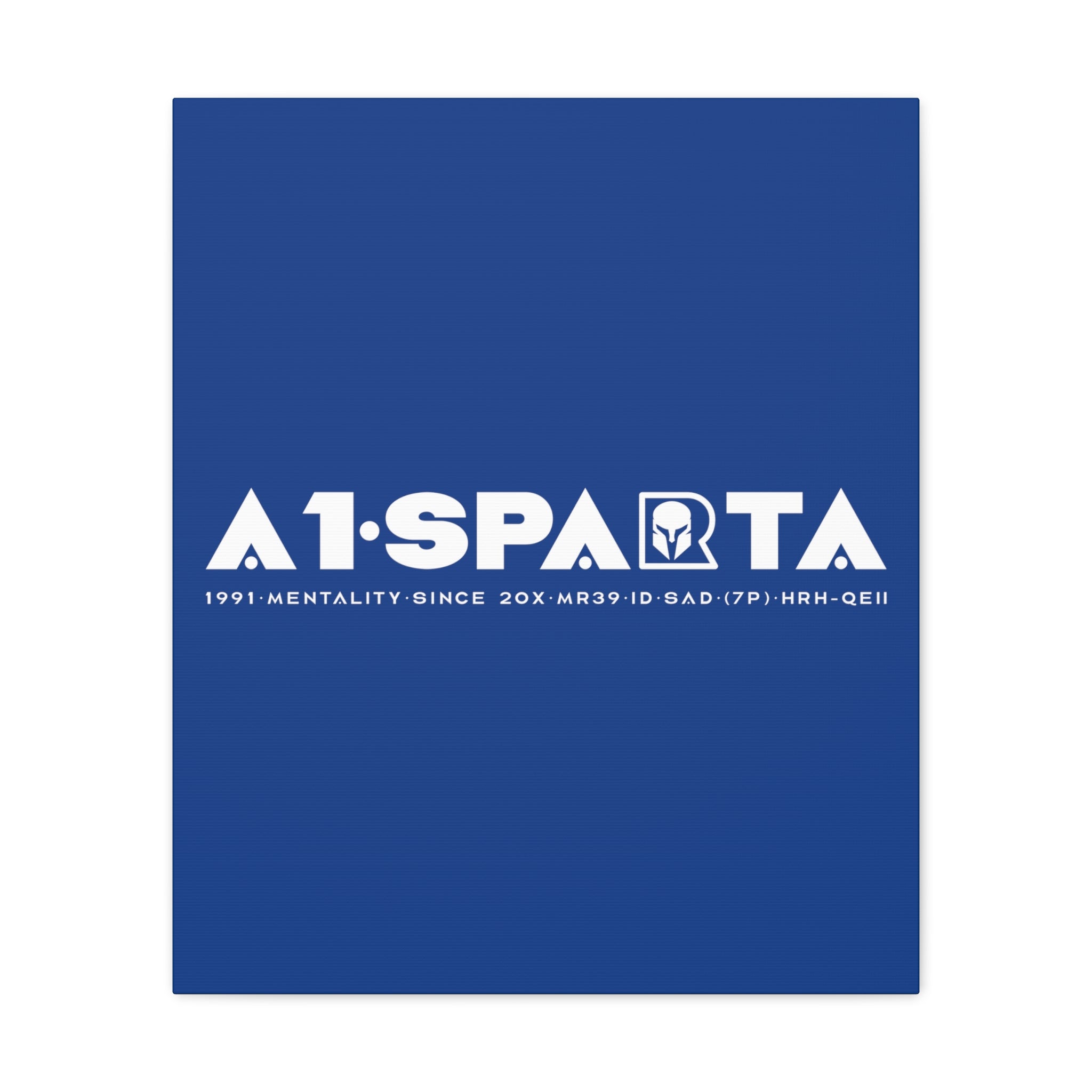 Canvas Gallery Wraps (A1•SPARTA RANGE)