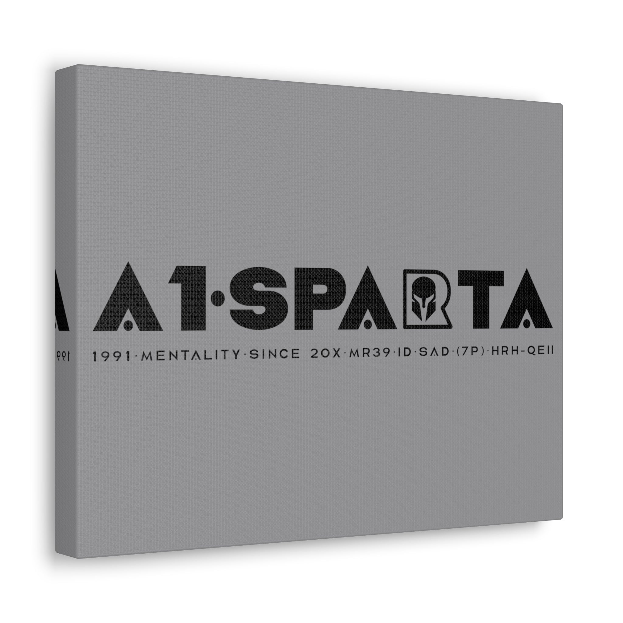 Canvas Gallery Wraps (A1•SPARTA RANGE)