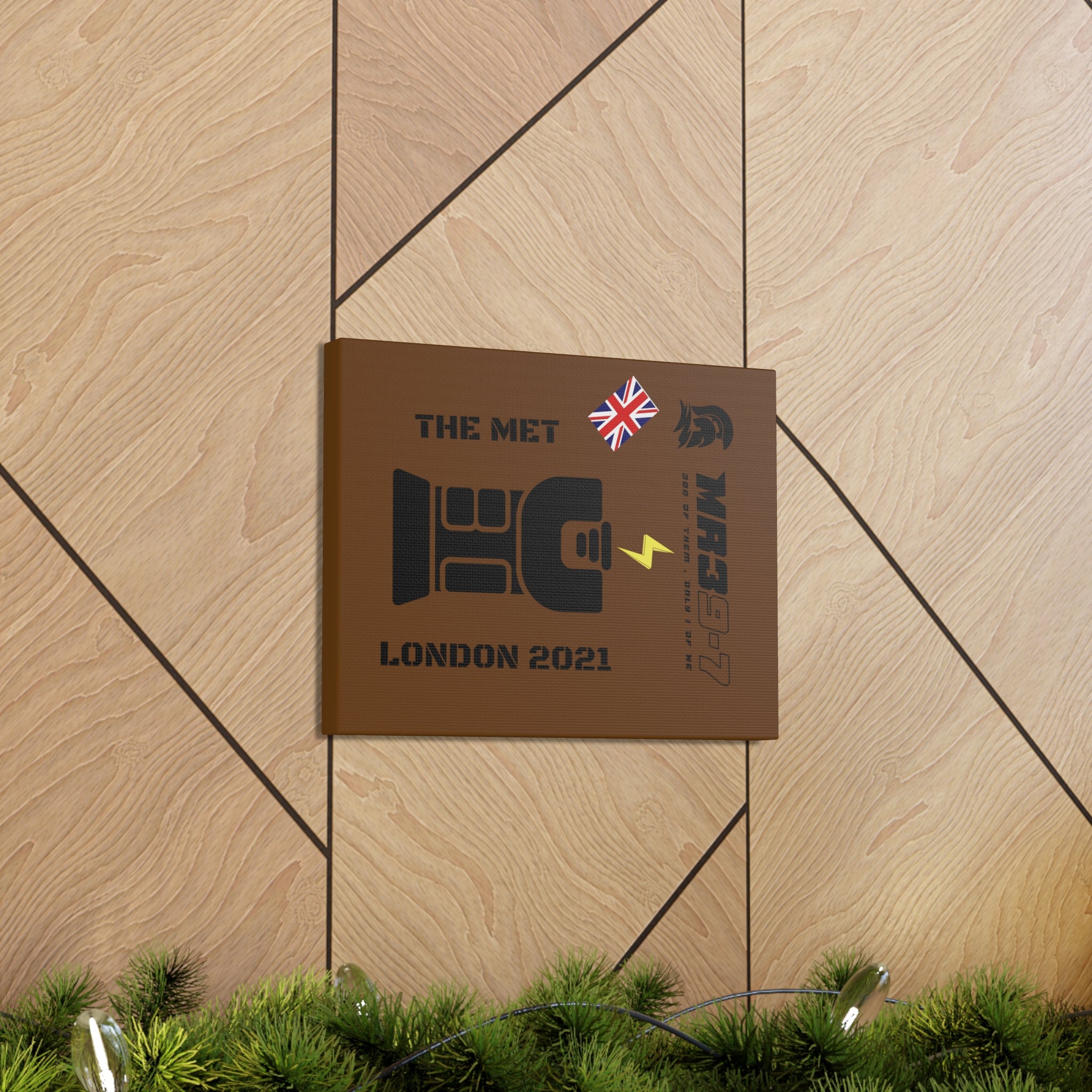 Canvas Gallery Wraps MR 39 Tasered by The MET 2021