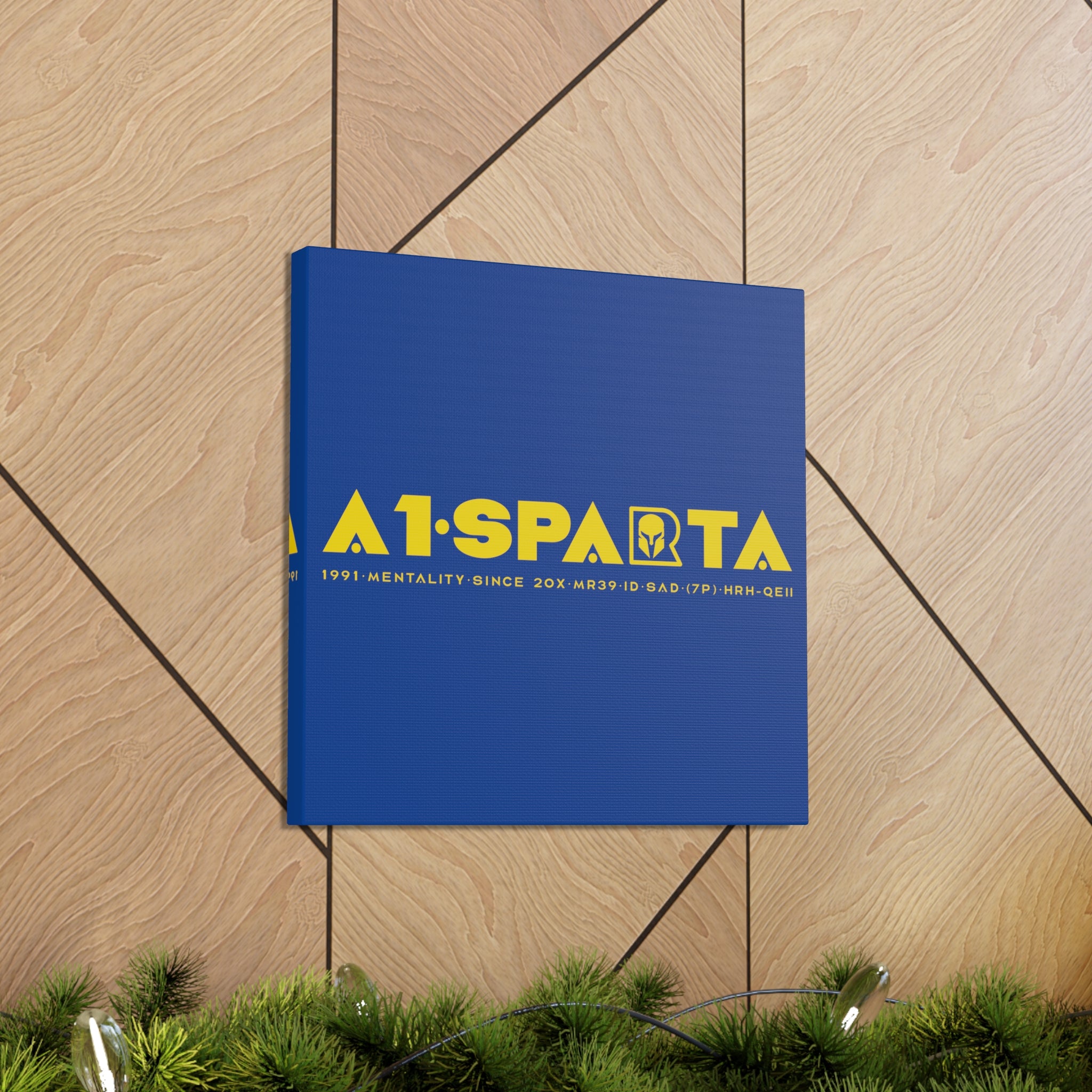 Canvas Gallery Wraps (A1•SPARTA RANGE)