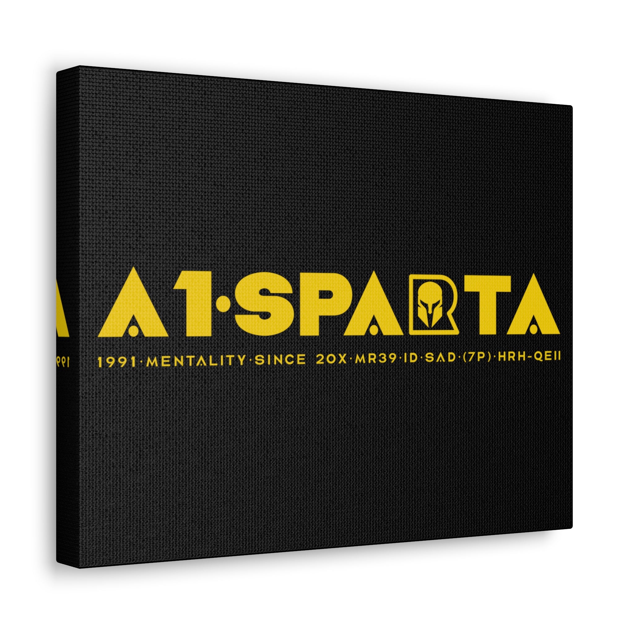 Canvas Gallery Wraps (A1•SPARTA RANGE)