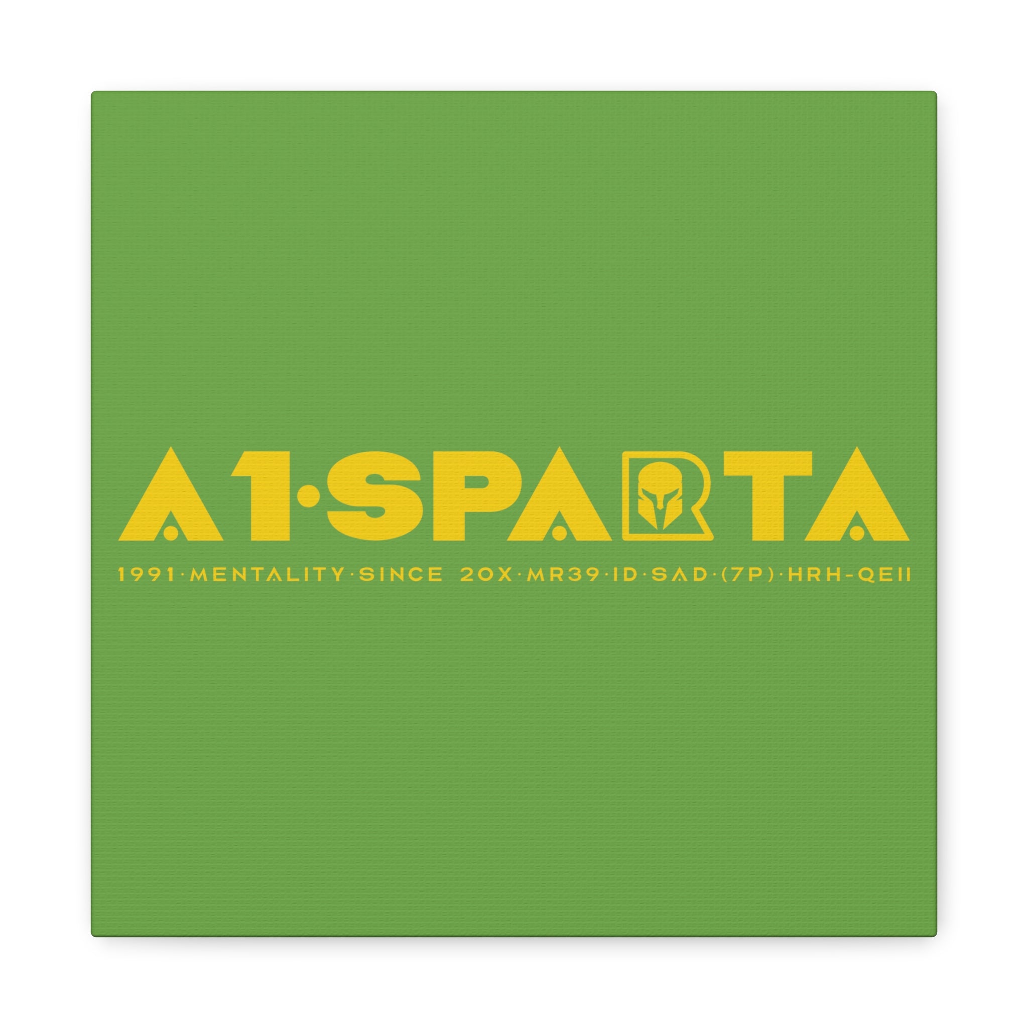 Canvas Gallery Wraps (A1•SPARTA RANGE)