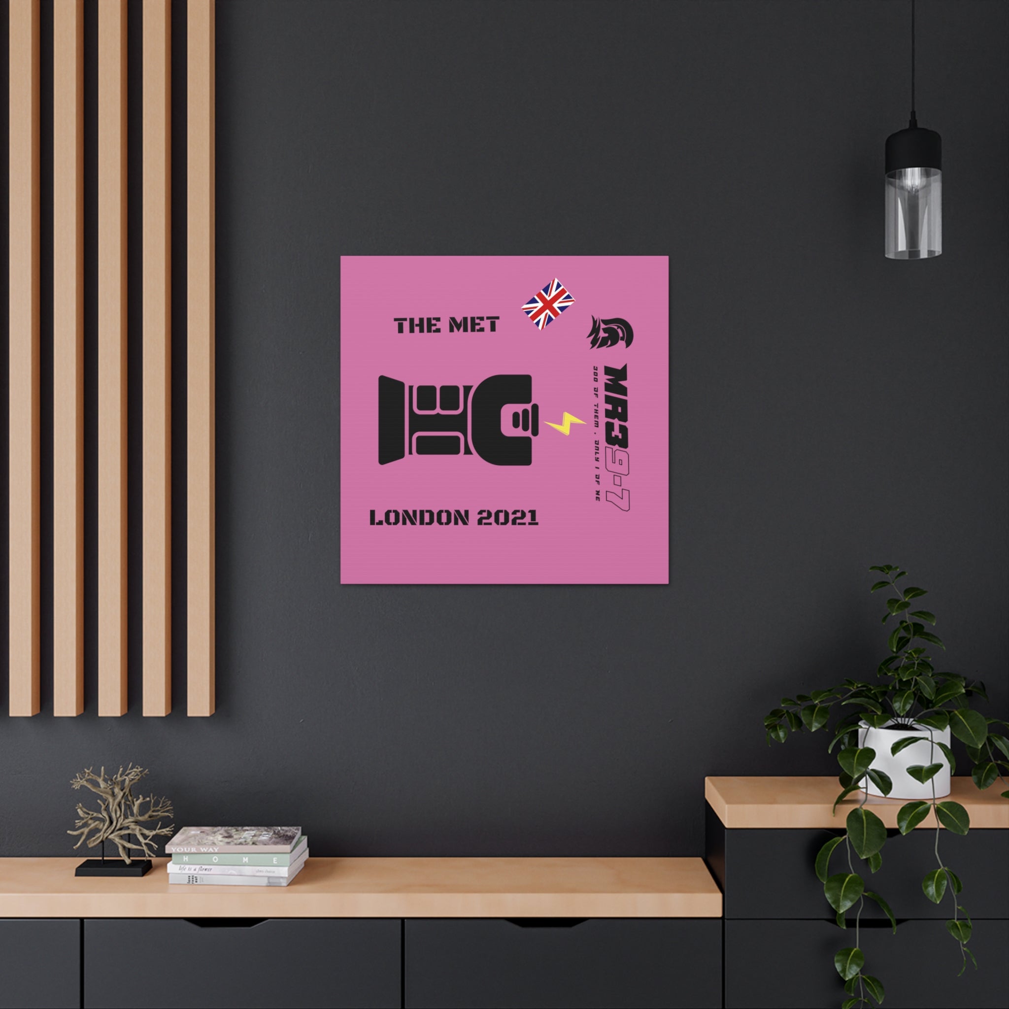 Canvas Gallery Wraps MR 39 Tasered by The MET 2021