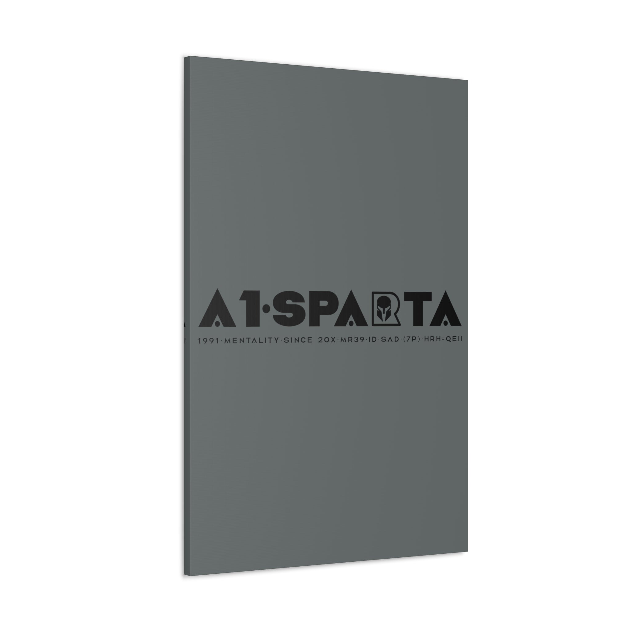 Canvas Gallery Wraps (A1•SPARTA RANGE)