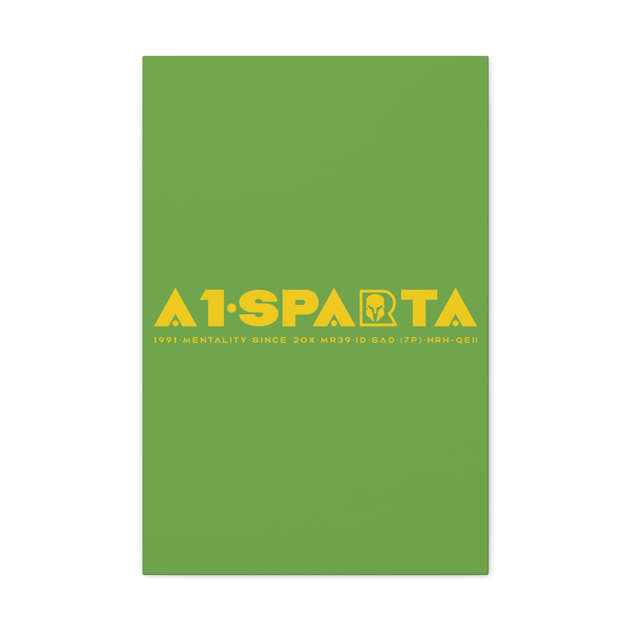 Canvas Gallery Wraps (A1•SPARTA RANGE)