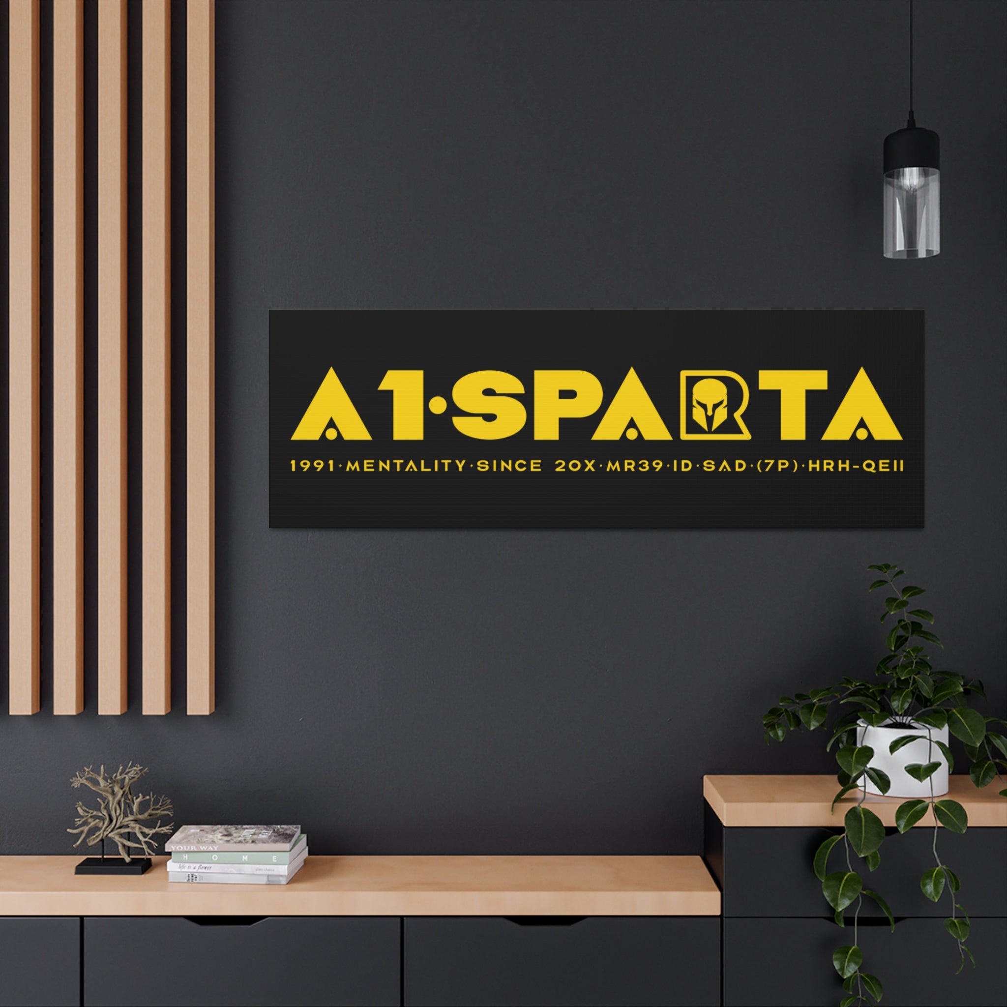 Canvas Gallery Wraps (A1•SPARTA RANGE)