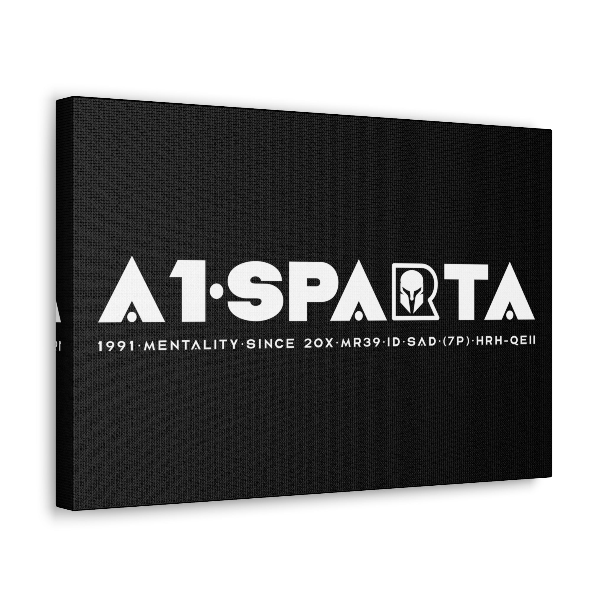 Canvas Gallery Wraps (A1•SPARTA RANGE)