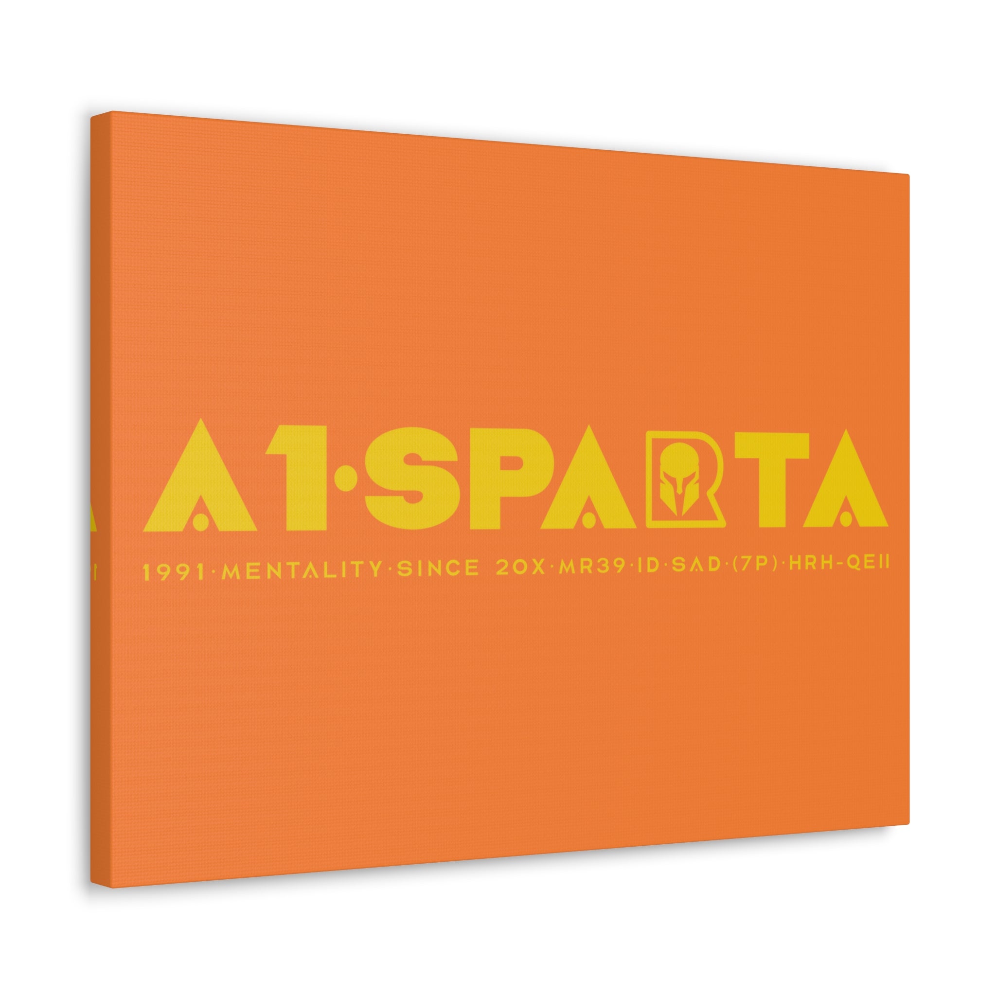 Canvas Gallery Wraps (A1•SPARTA RANGE)