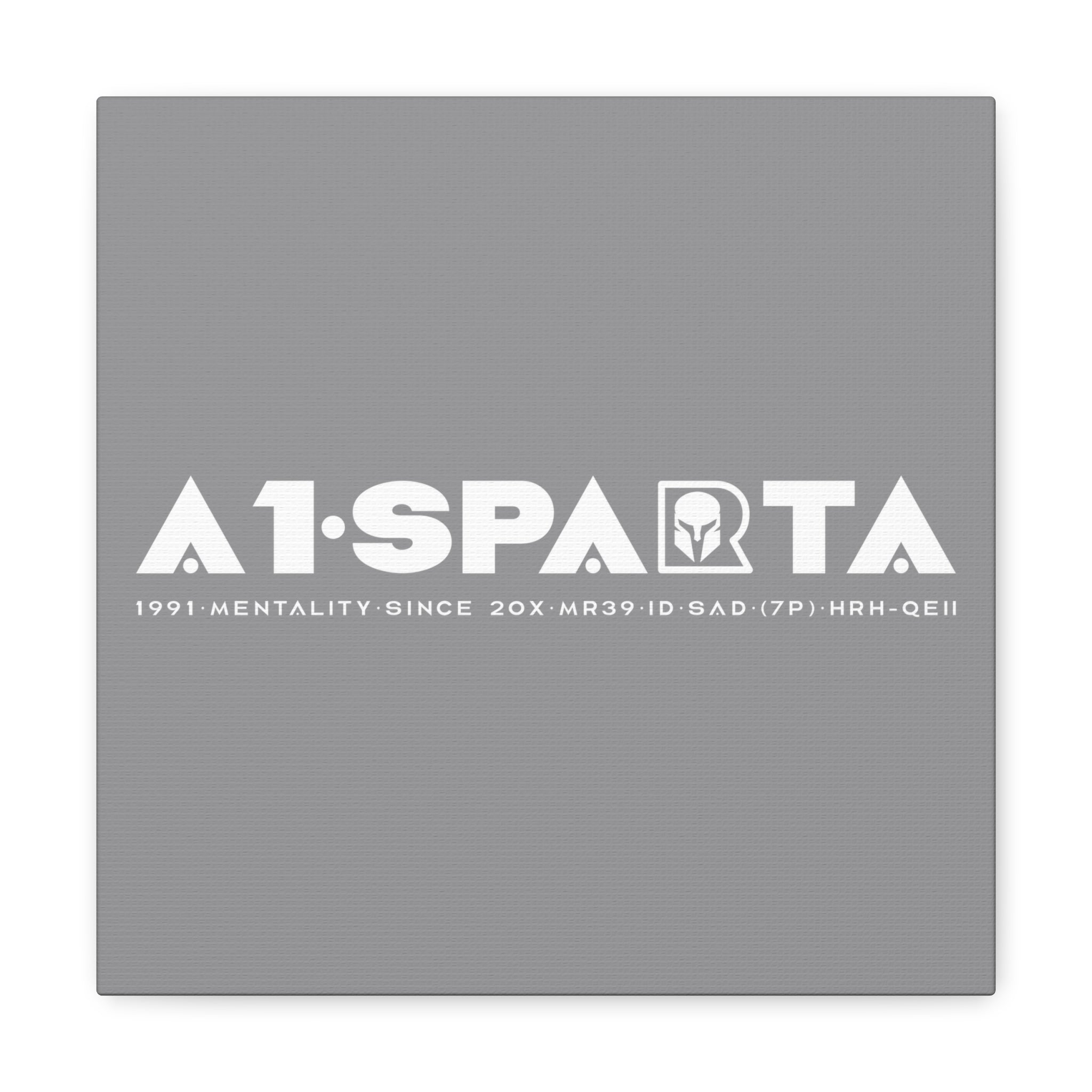 Canvas Gallery Wraps (A1•SPARTA RANGE)