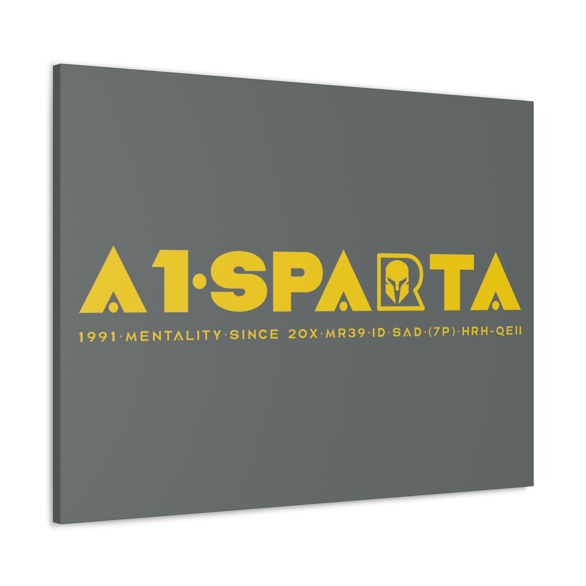 Canvas Gallery Wraps (A1•SPARTA RANGE)