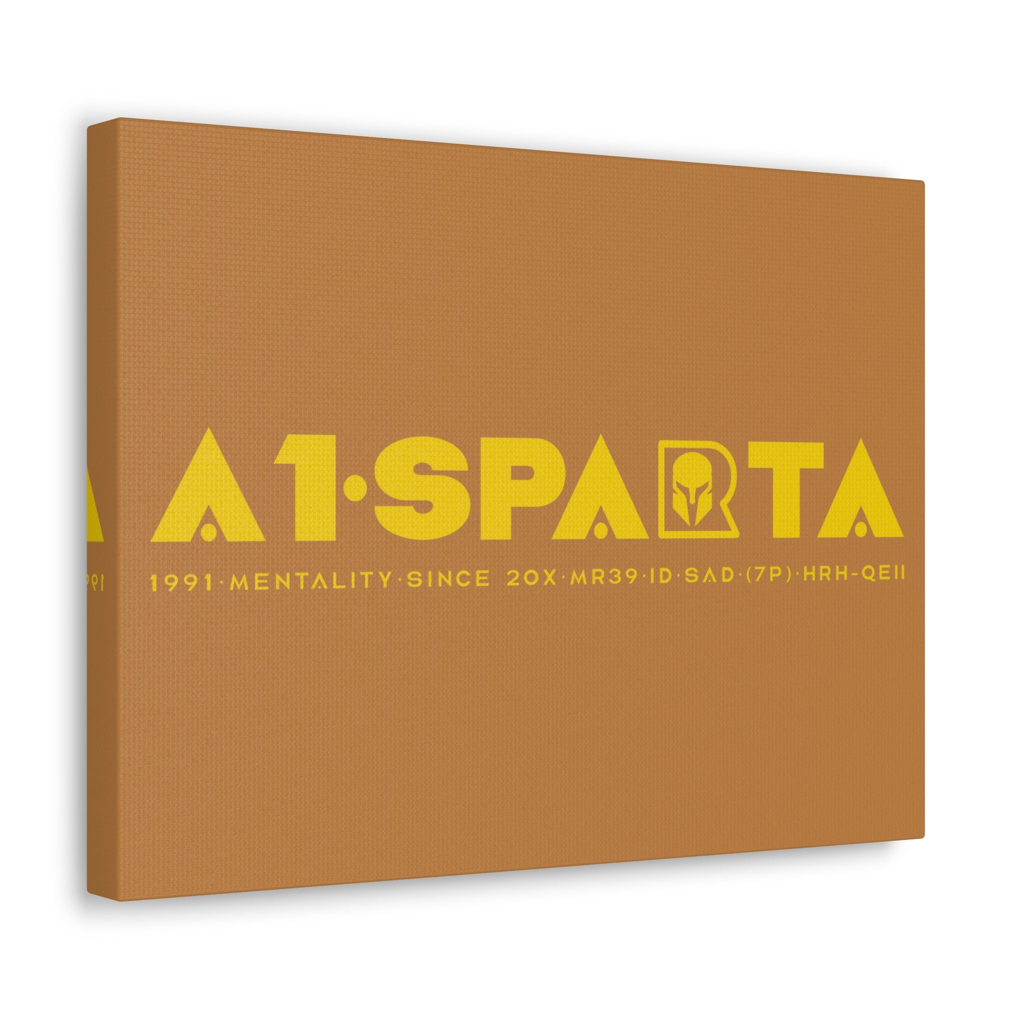 Canvas Gallery Wraps (A1•SPARTA RANGE)