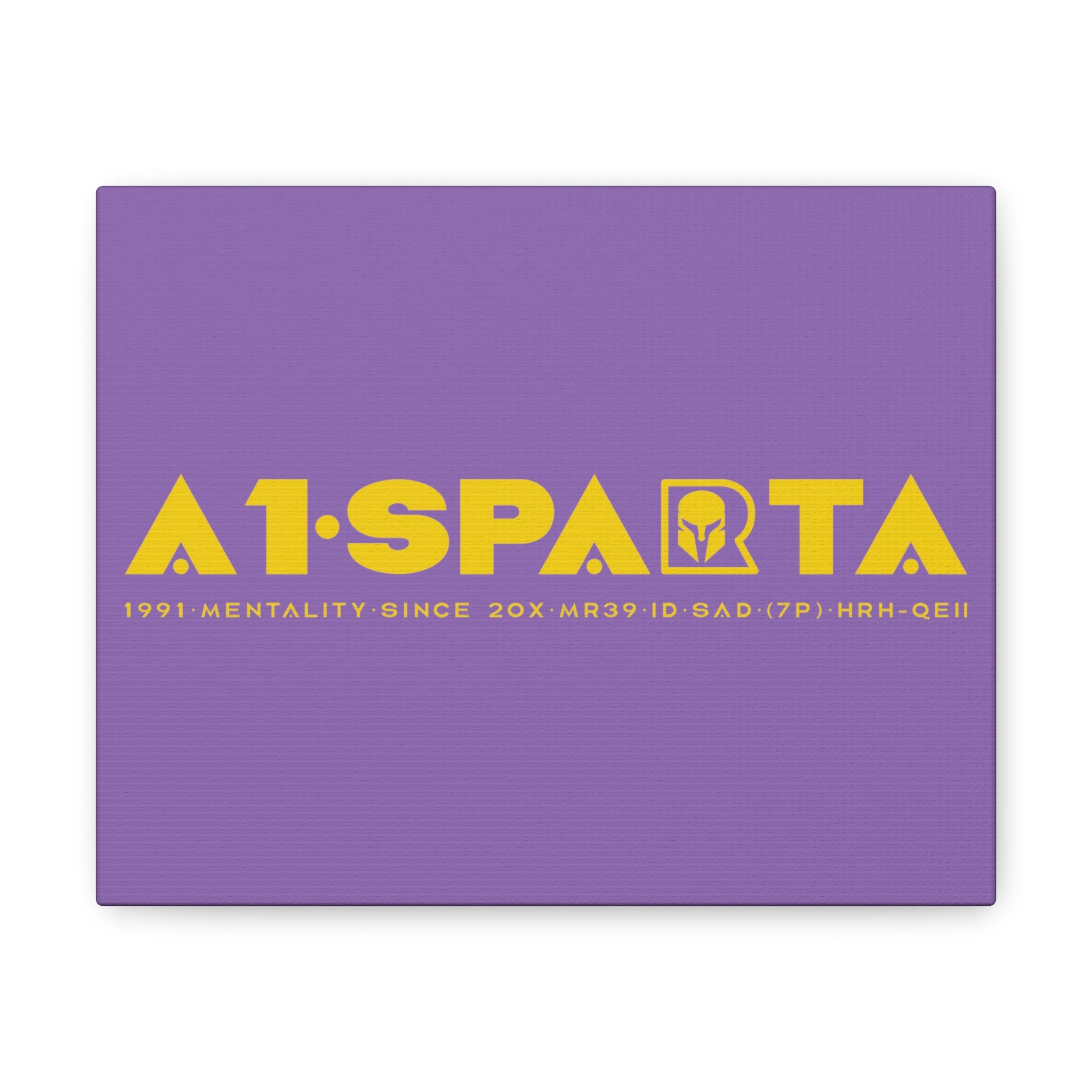 Canvas Gallery Wraps (A1•SPARTA RANGE)