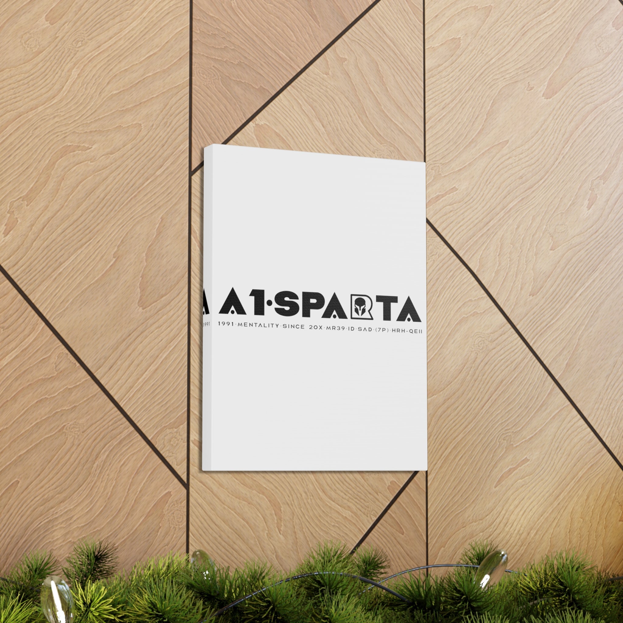 Canvas Gallery Wraps (A1•SPARTA RANGE)