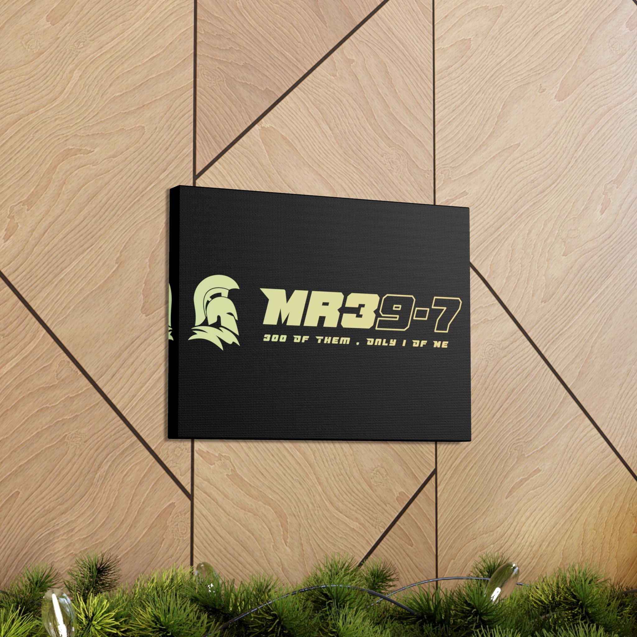 Canvas Gallery Wraps (A1•SPARTA RANGE)