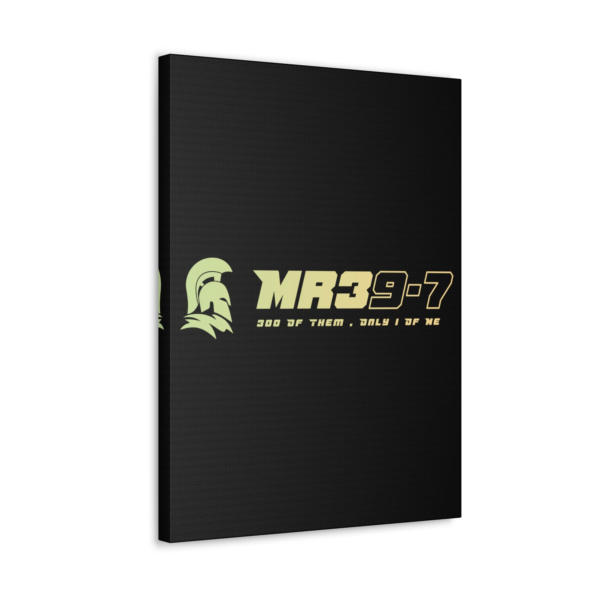 Canvas Gallery Wraps (A1•SPARTA RANGE)