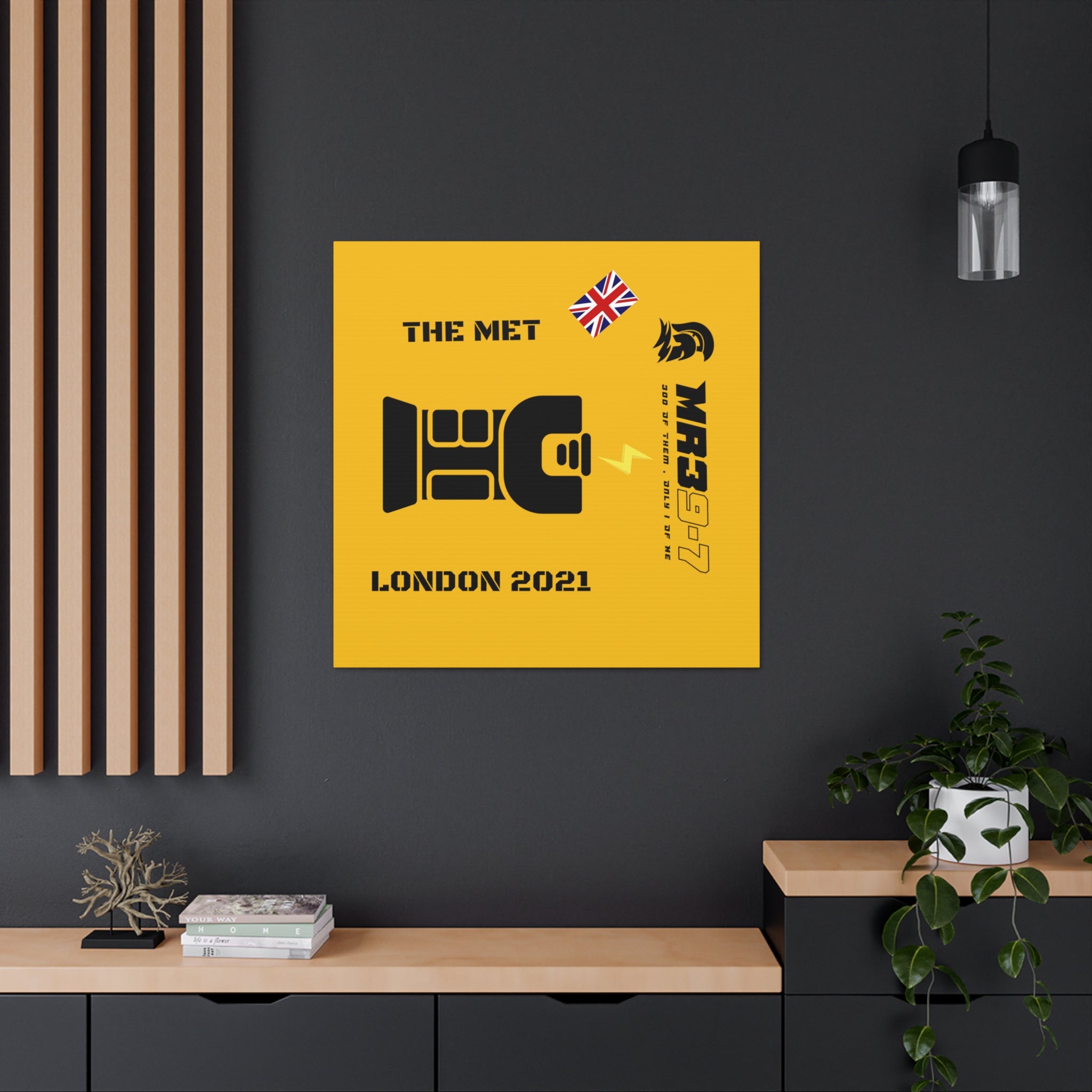 Canvas Gallery Wraps MR 39 Tasered by The MET 2021