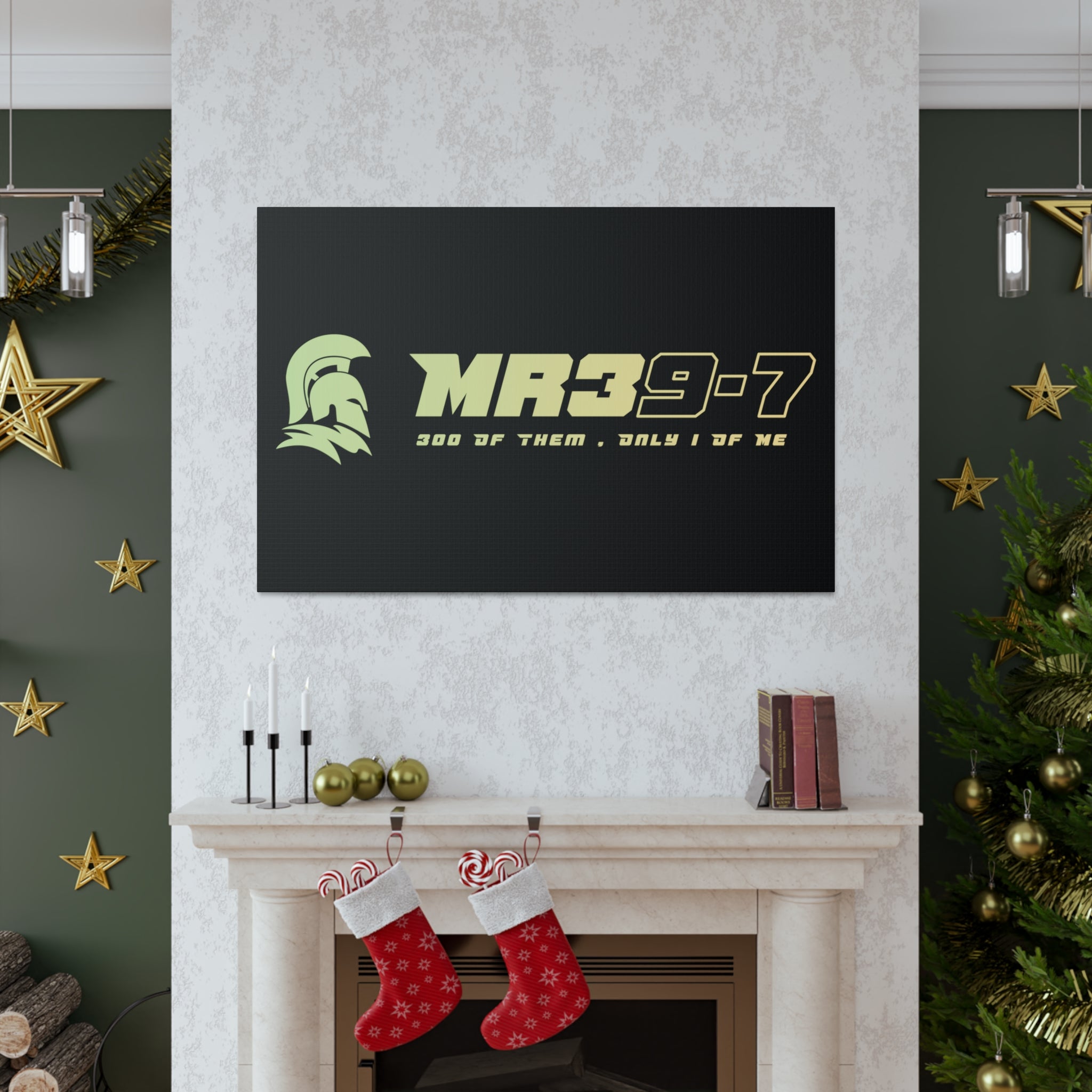 Canvas Gallery Wraps (A1•SPARTA RANGE)